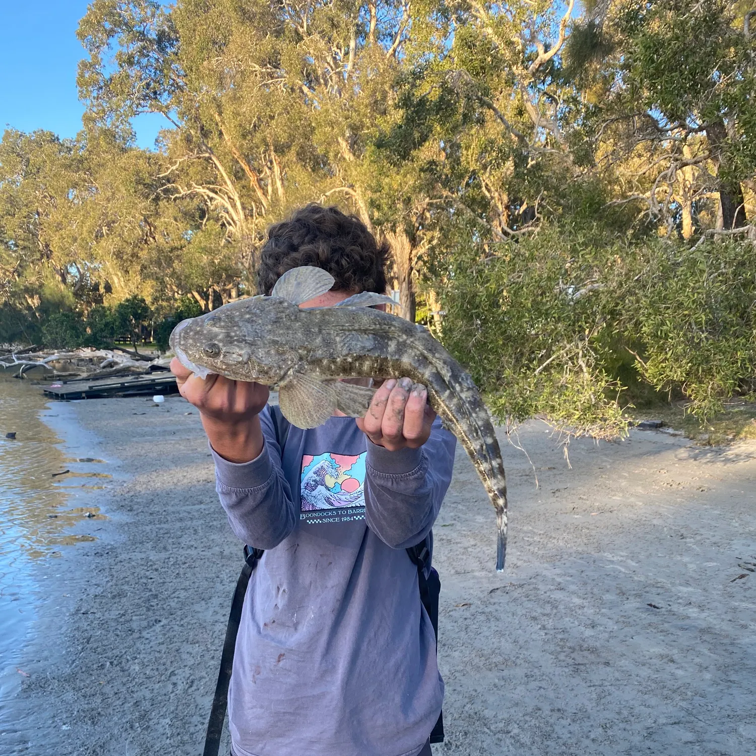 The most recent Dusky flathead catches on Fishbrain