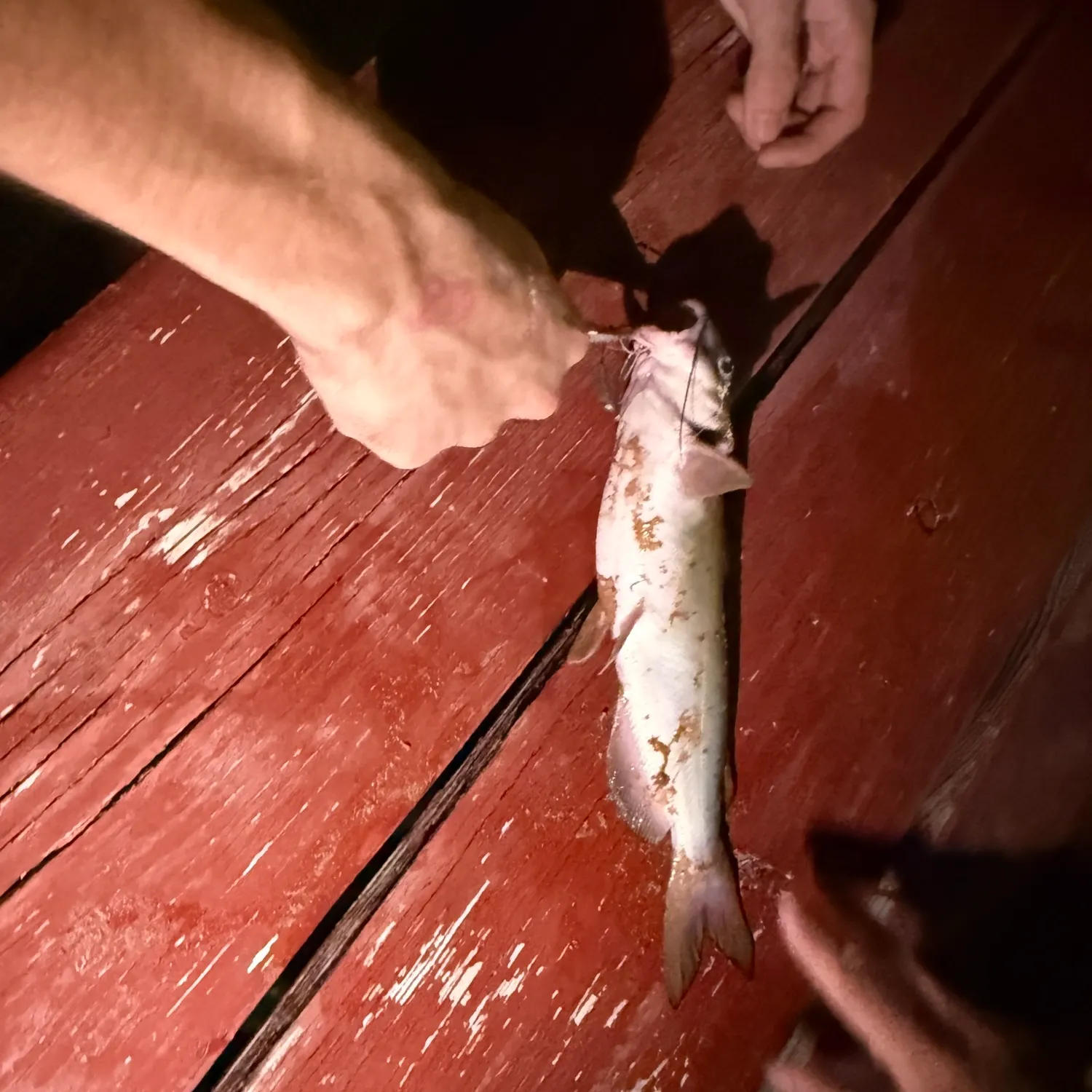catch