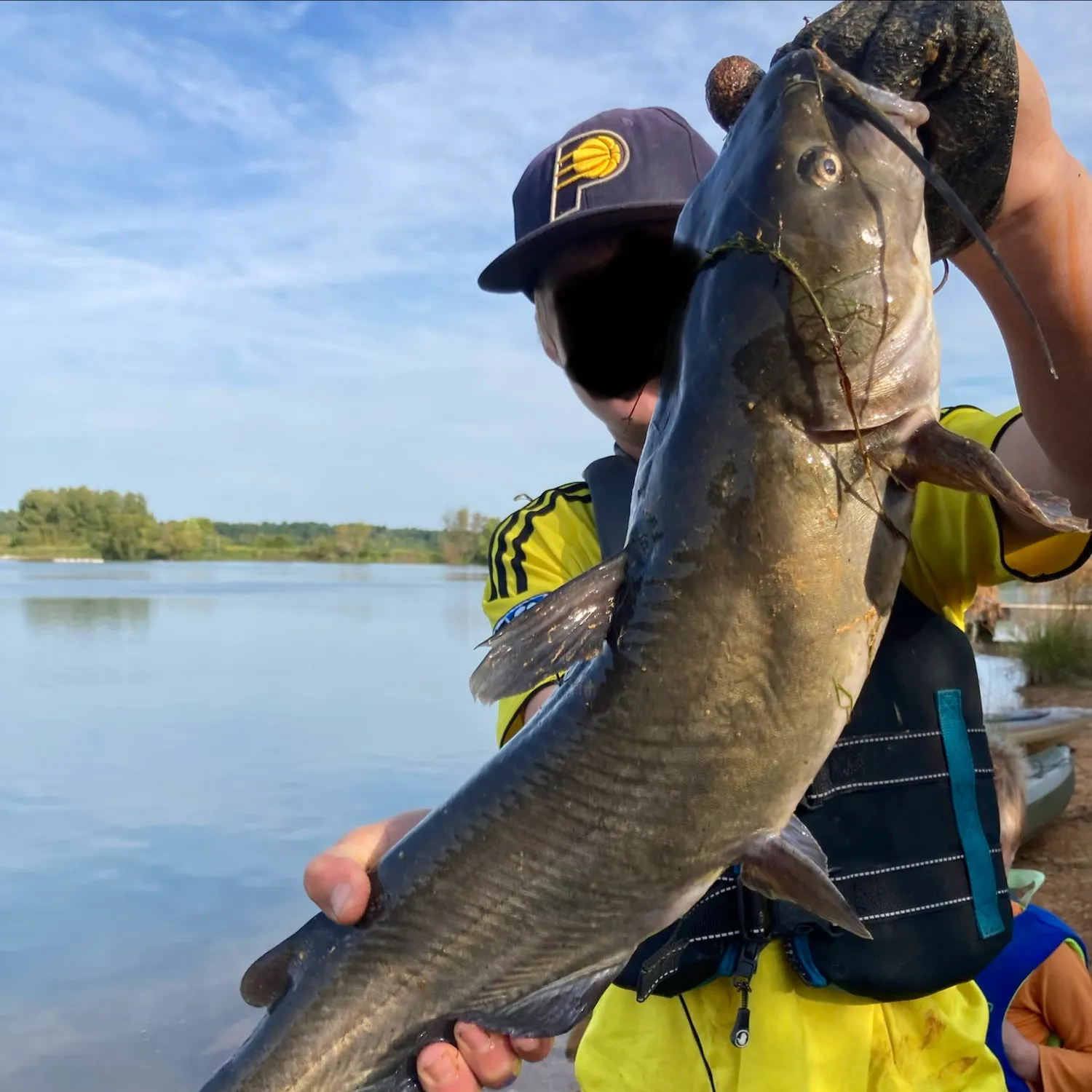 Channel catfish caught on Fishbrain