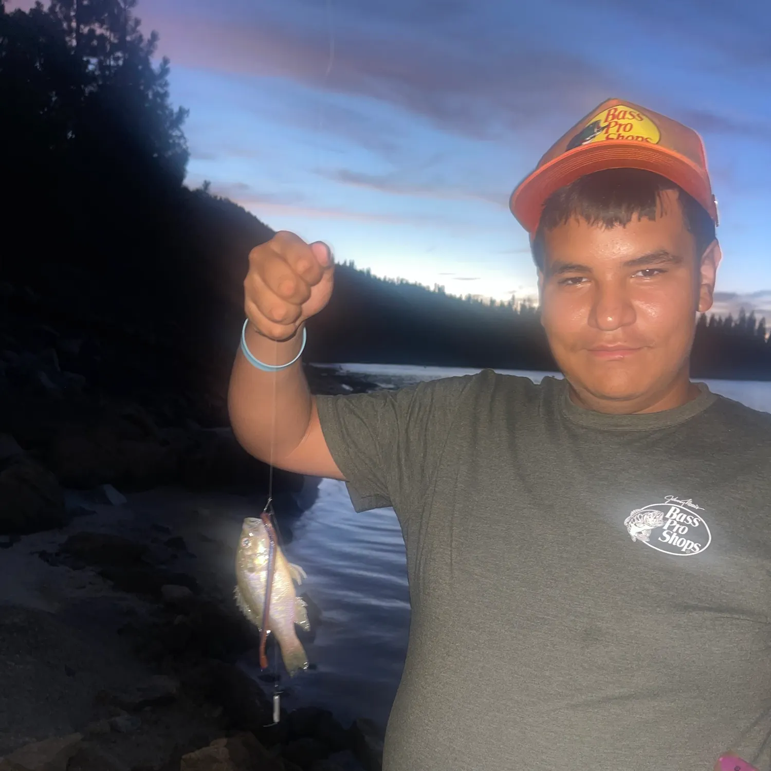 White crappie caught on Fishbrain