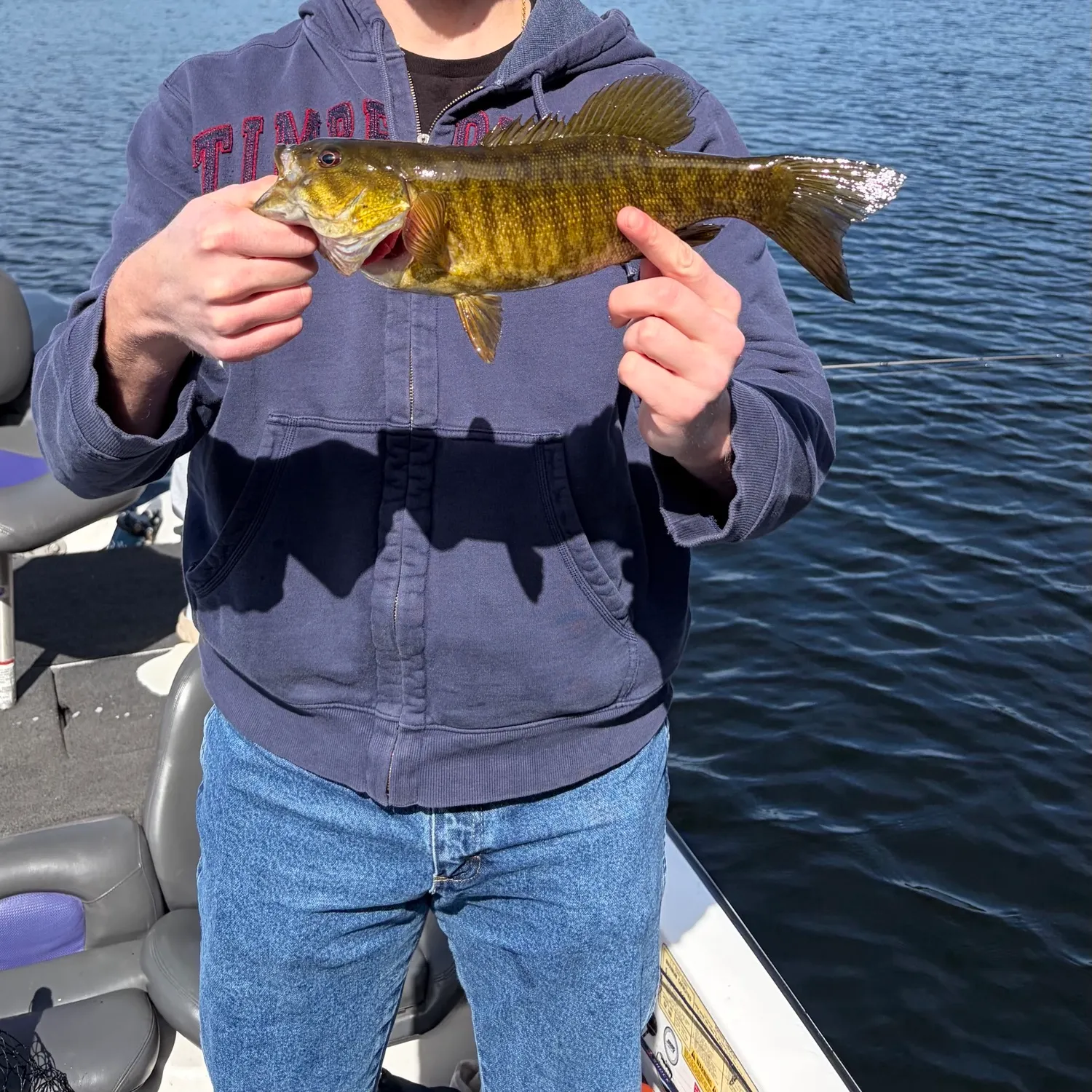Smallmouth bass caught on Fishbrain