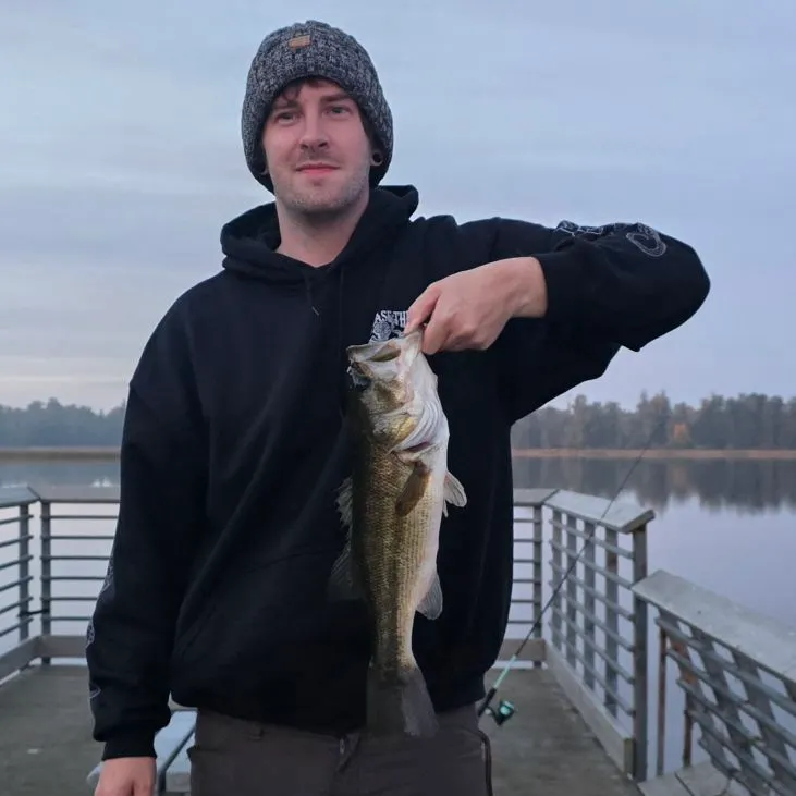 Largemouth bass caught on Fishbrain
