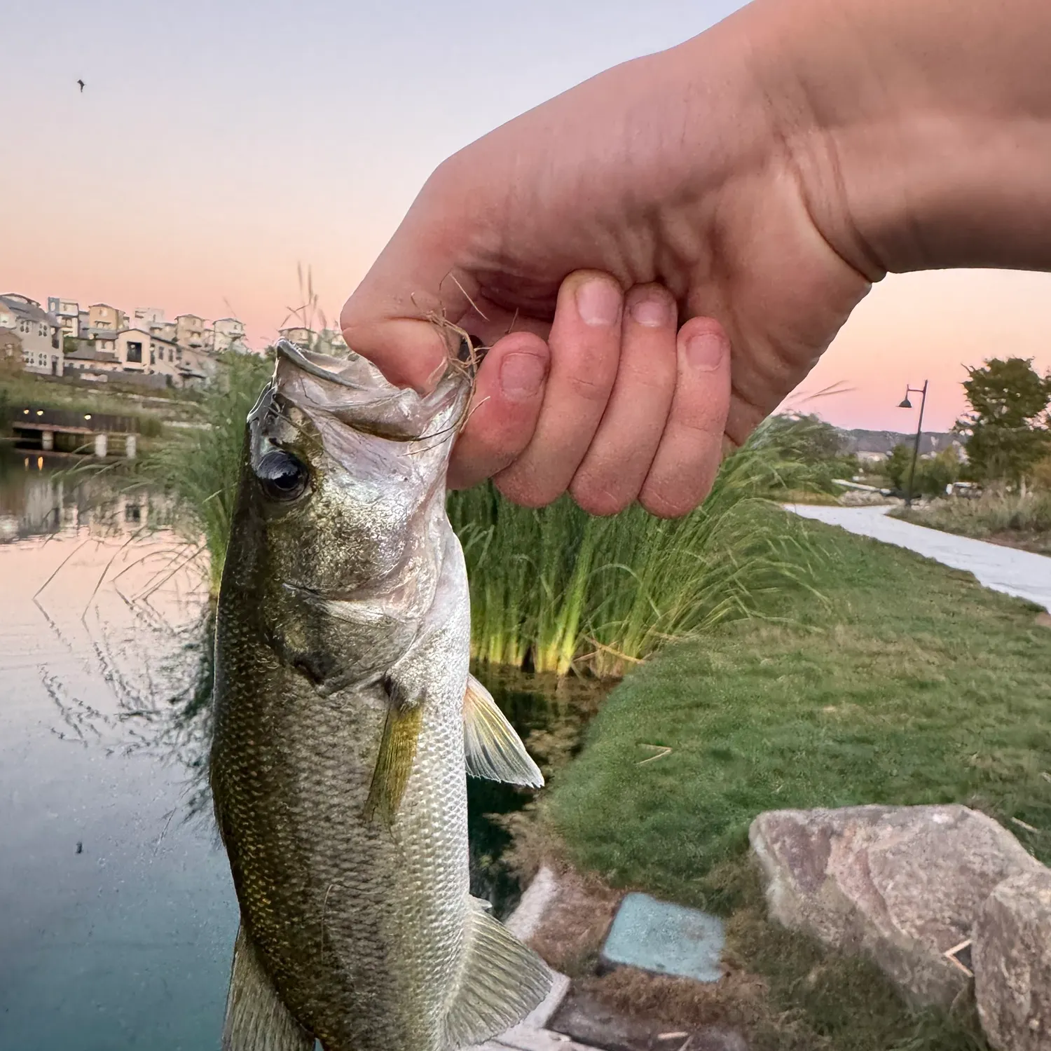 catch