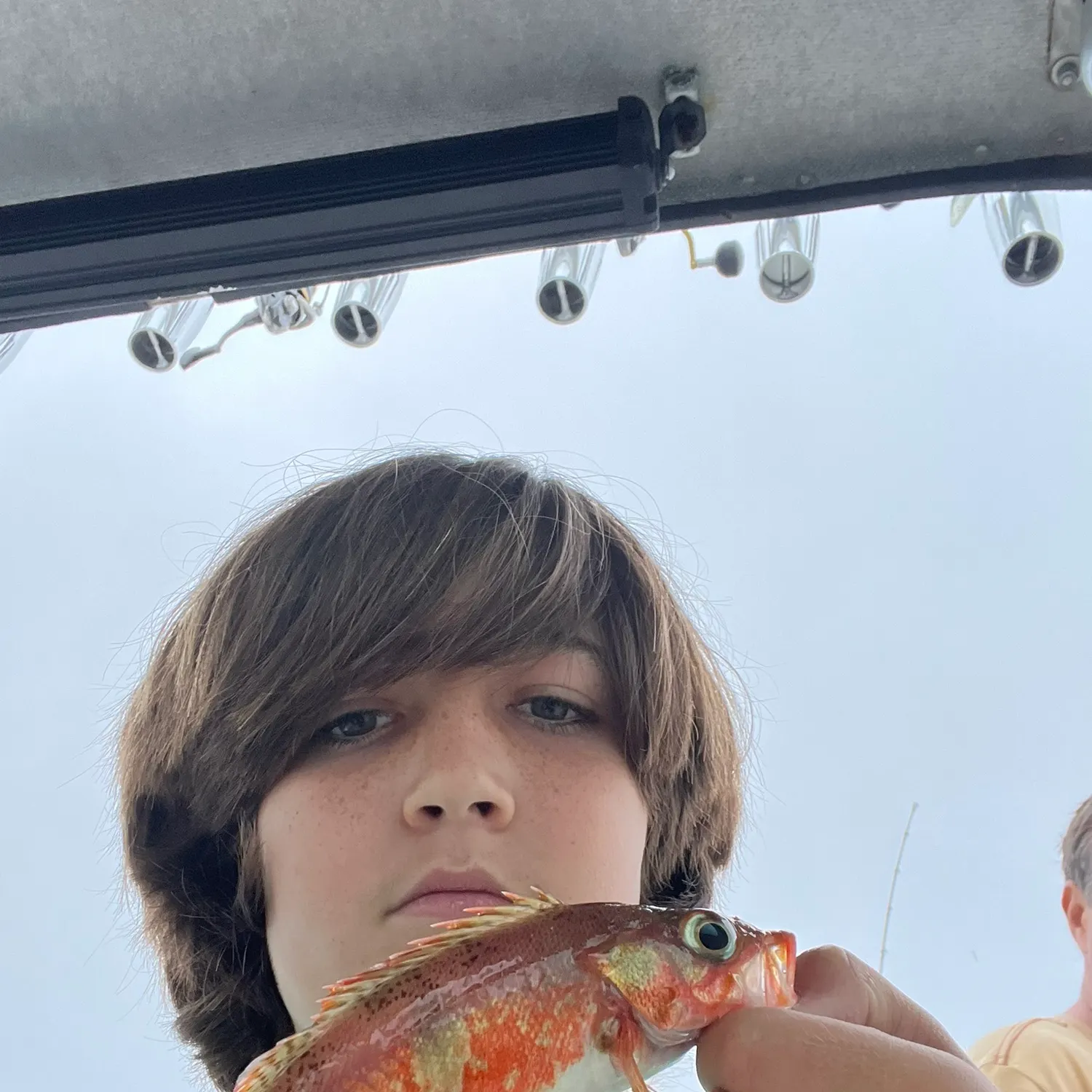 The most recent Halfbanded rockfish catches on Fishbrain