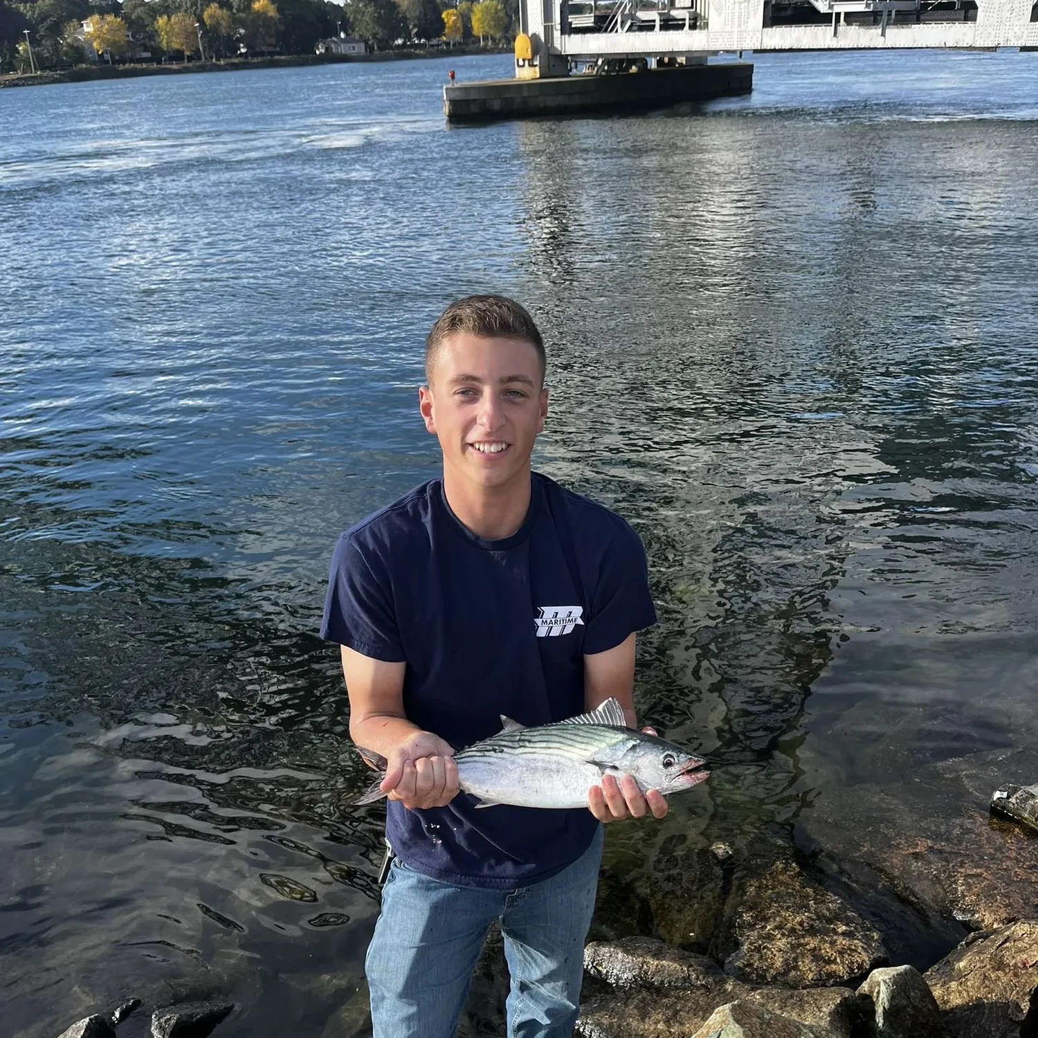 The most recent Atlantic bonito catches on Fishbrain