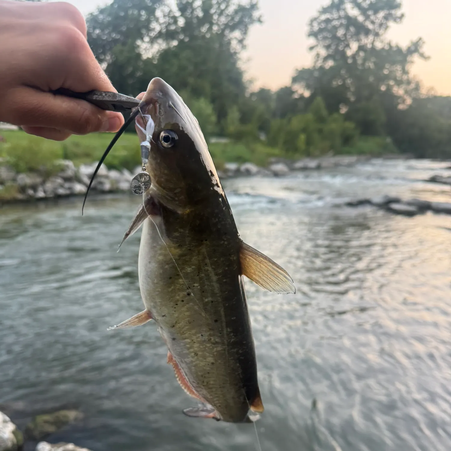 catch