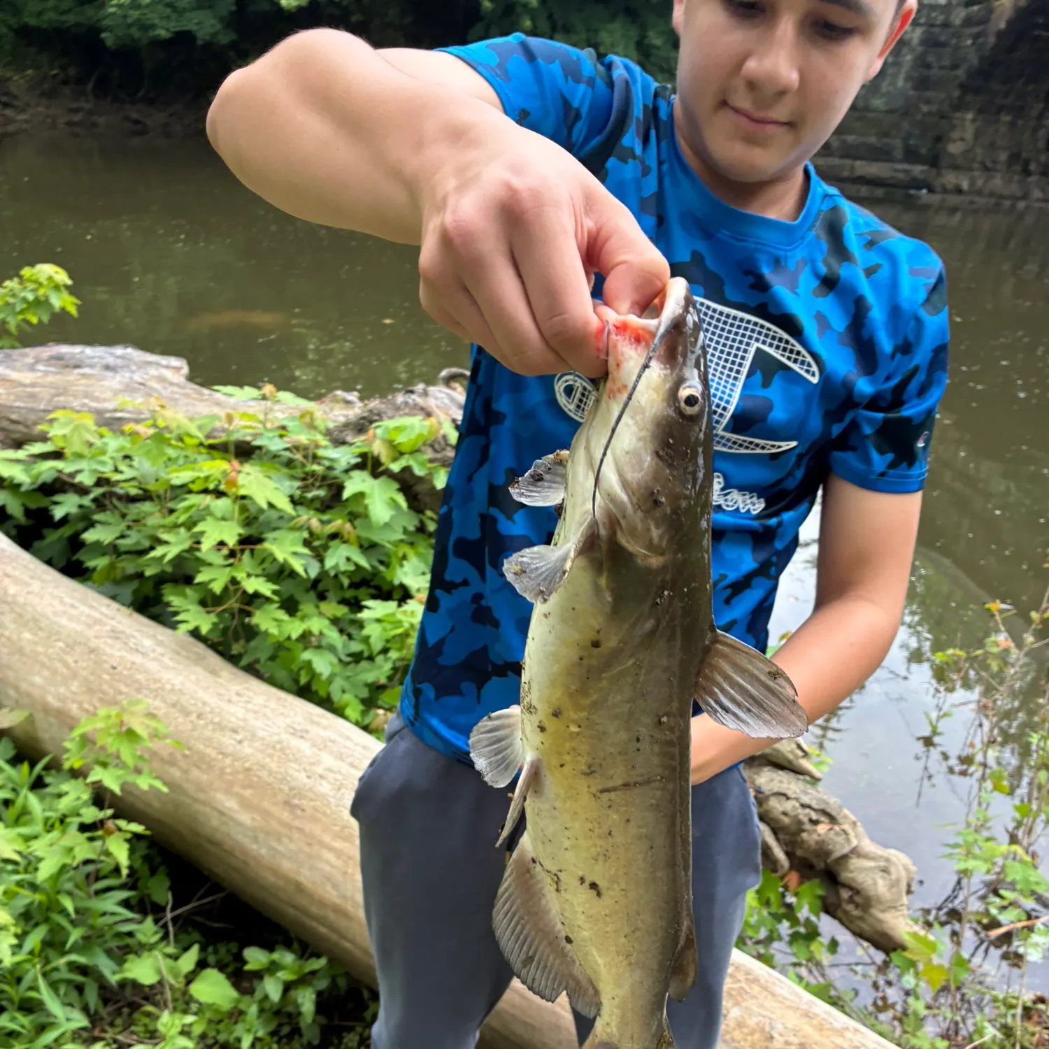 catch