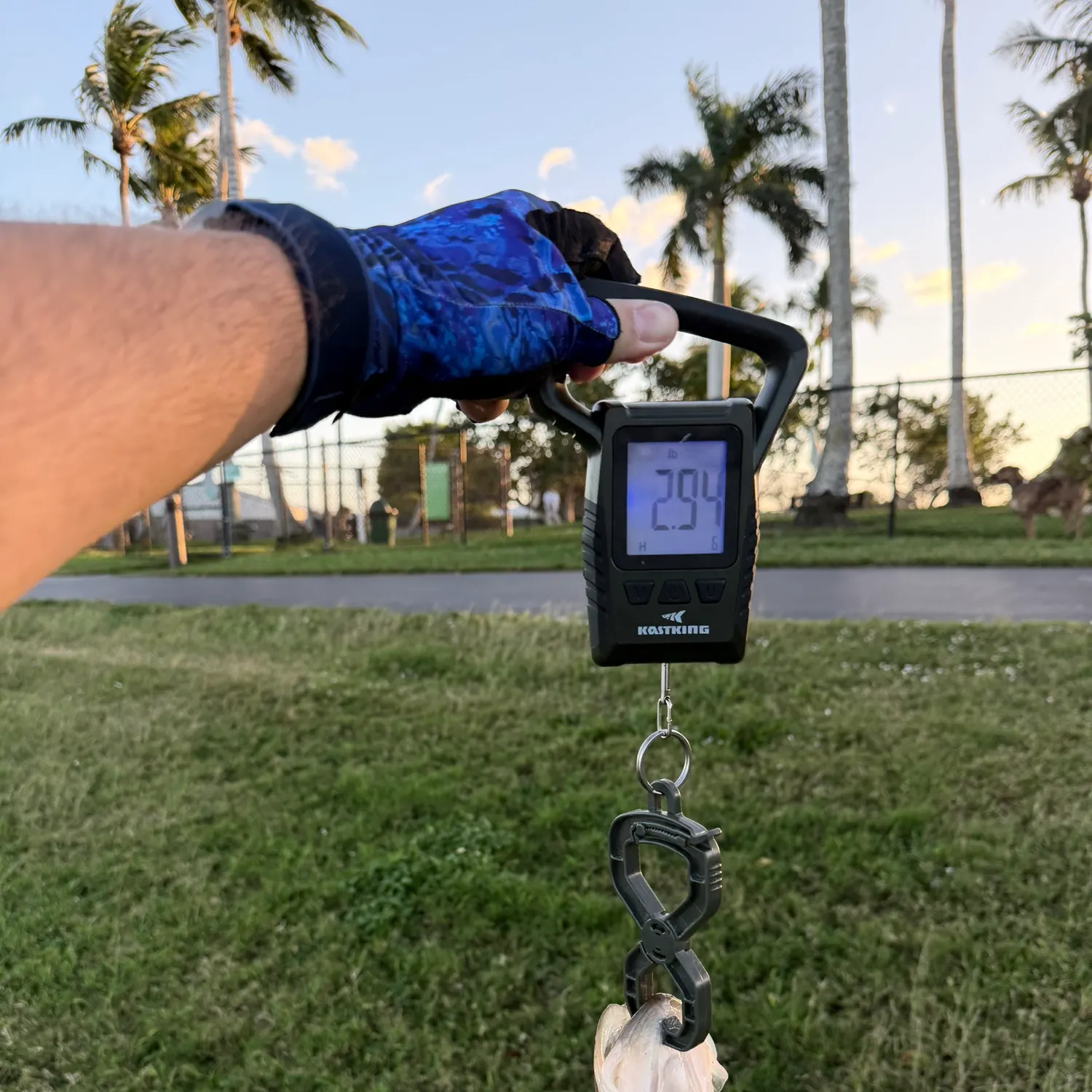 The most recent Common snook catches on Fishbrain