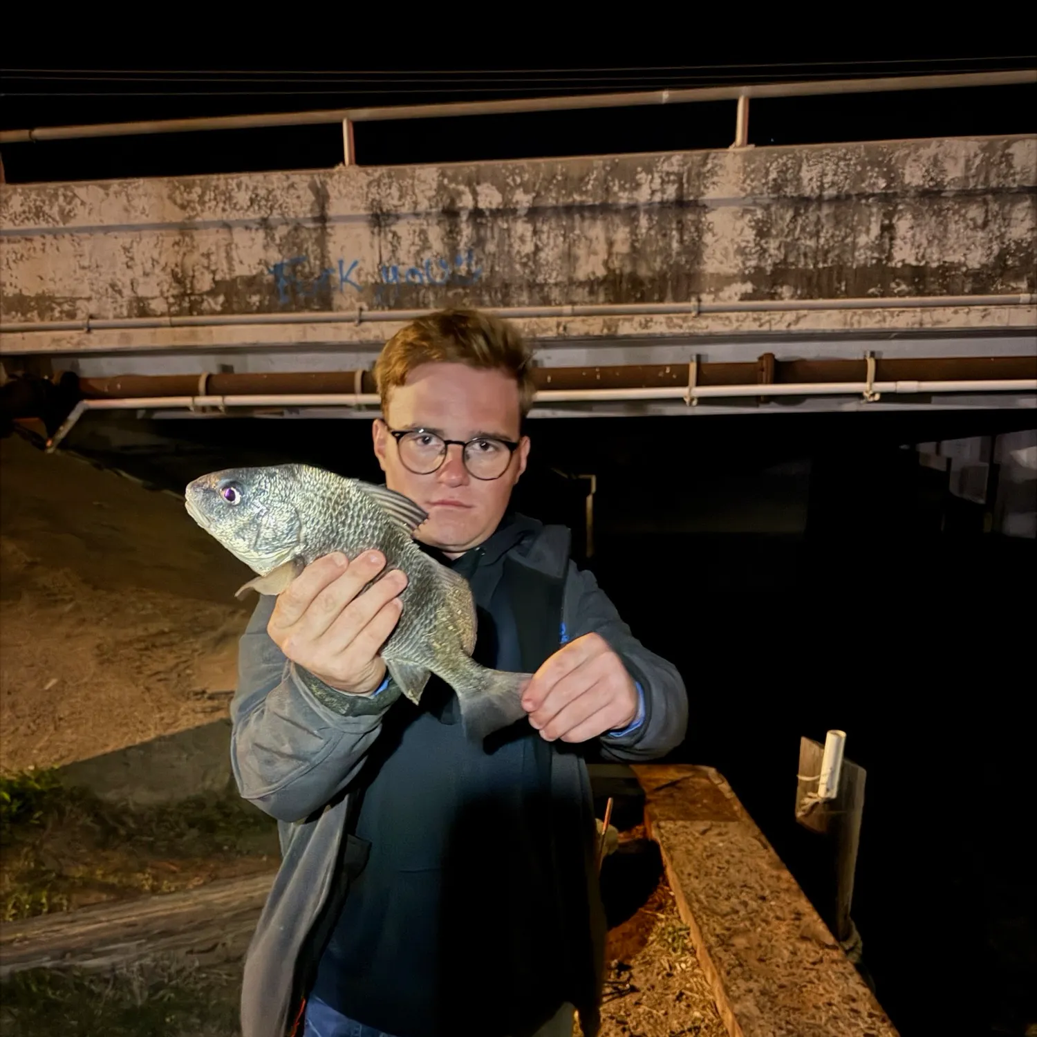 Black drum caught on Fishbrain