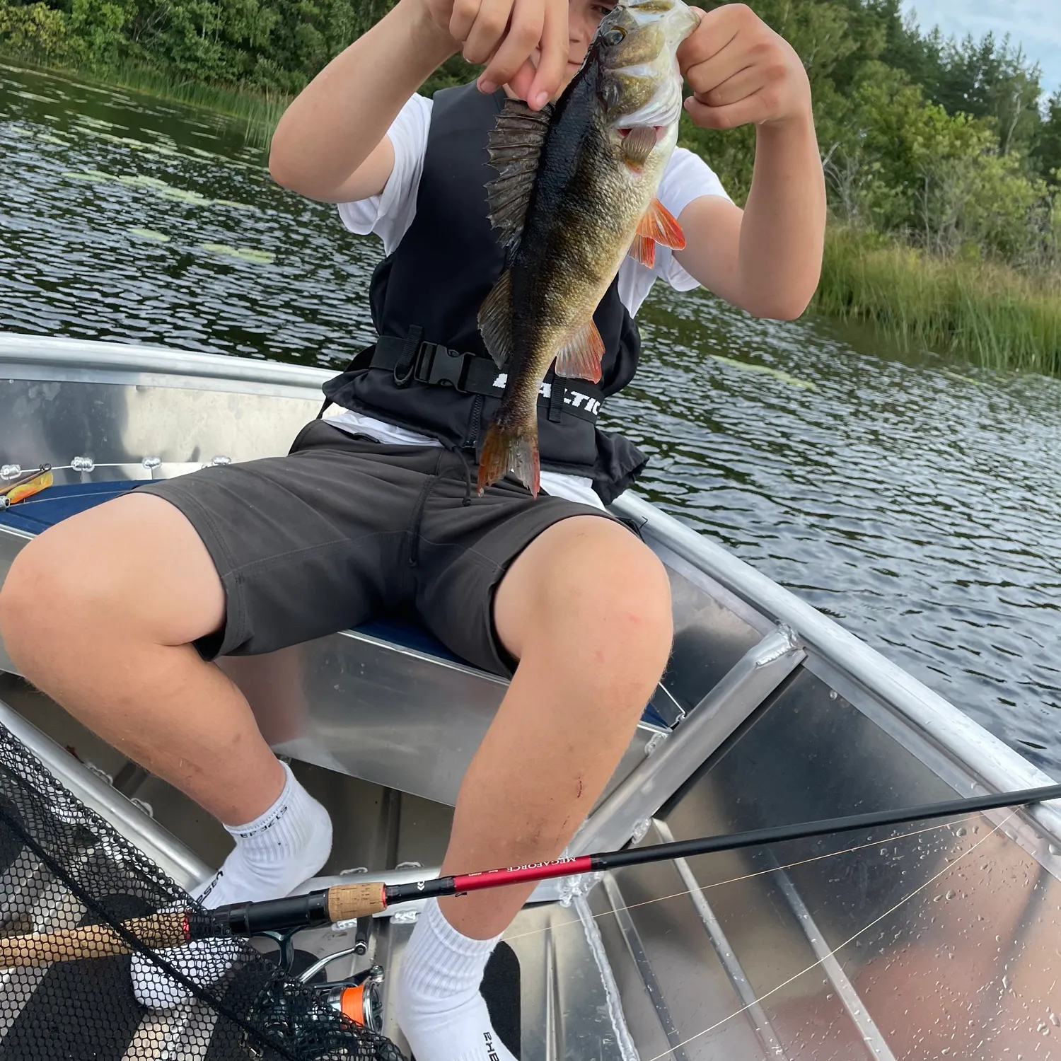 European perch caught on Fishbrain