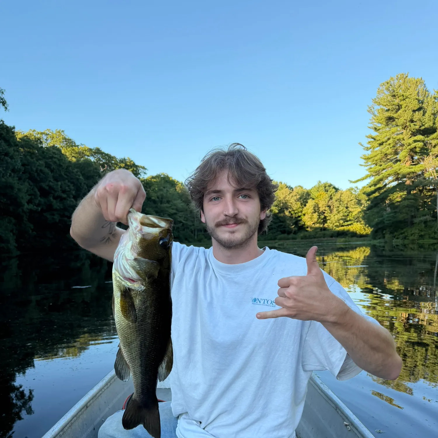 Largemouth bass caught on Fishbrain