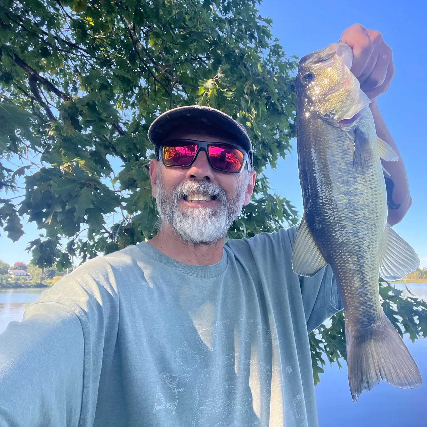 Fish caught on Fishbrain