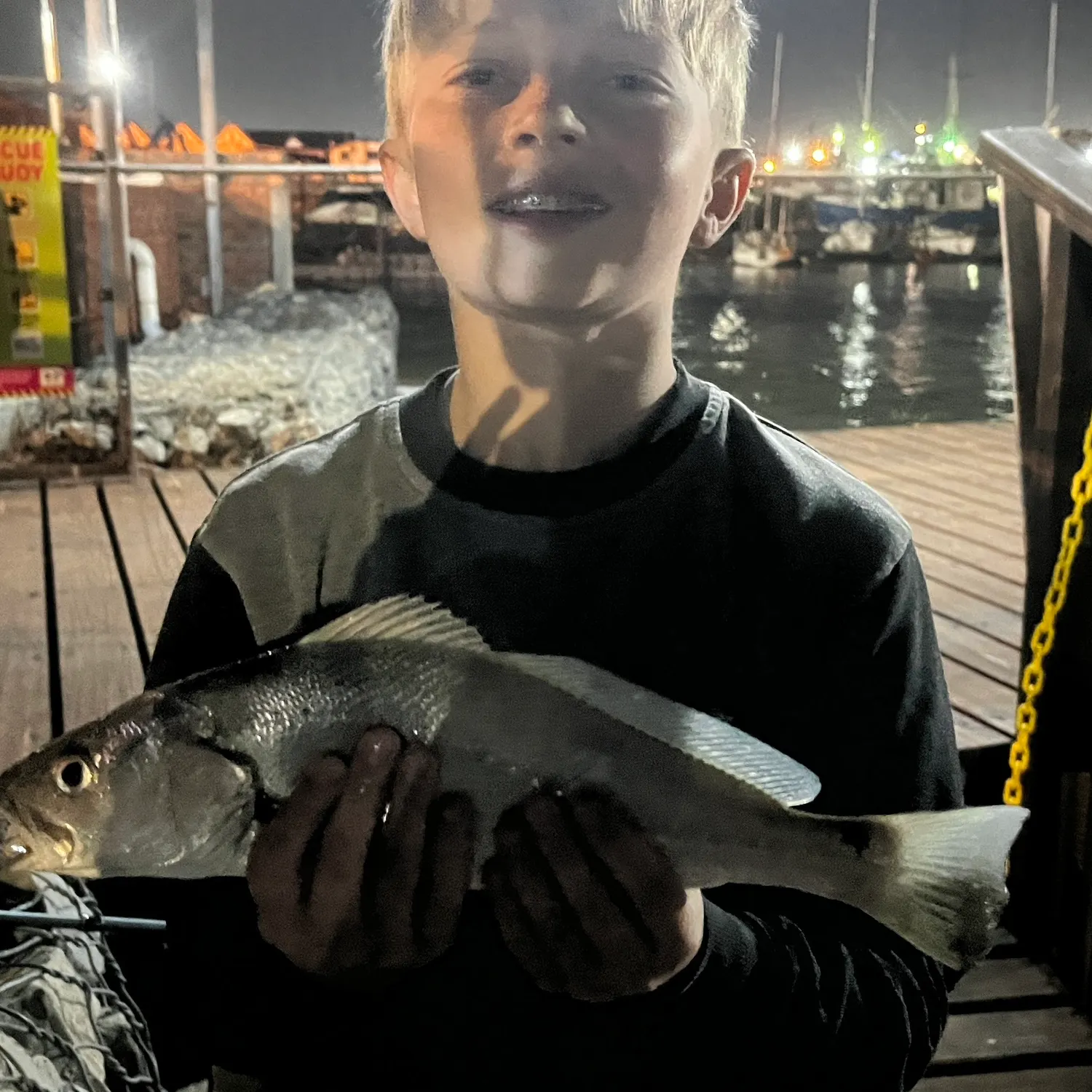 The most recent Japanese meagre catches on Fishbrain