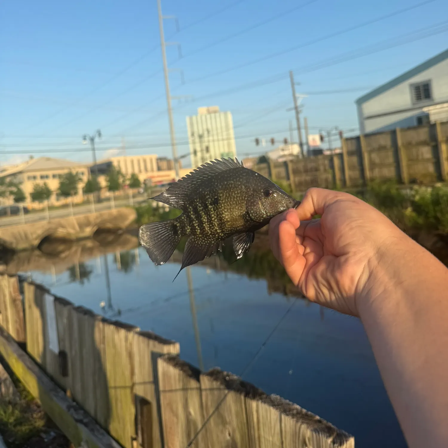 catch
