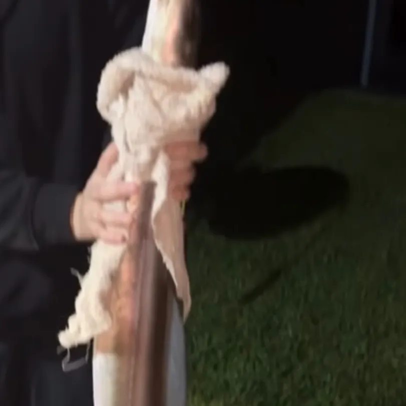 The most recent Common pike conger catches on Fishbrain