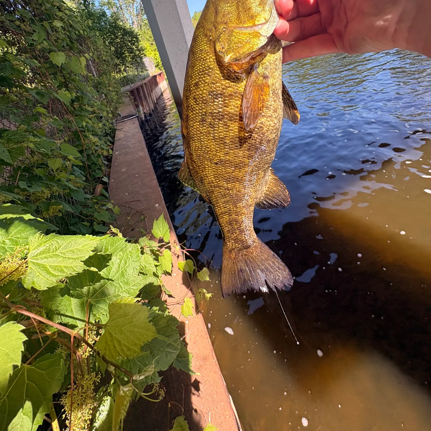catch