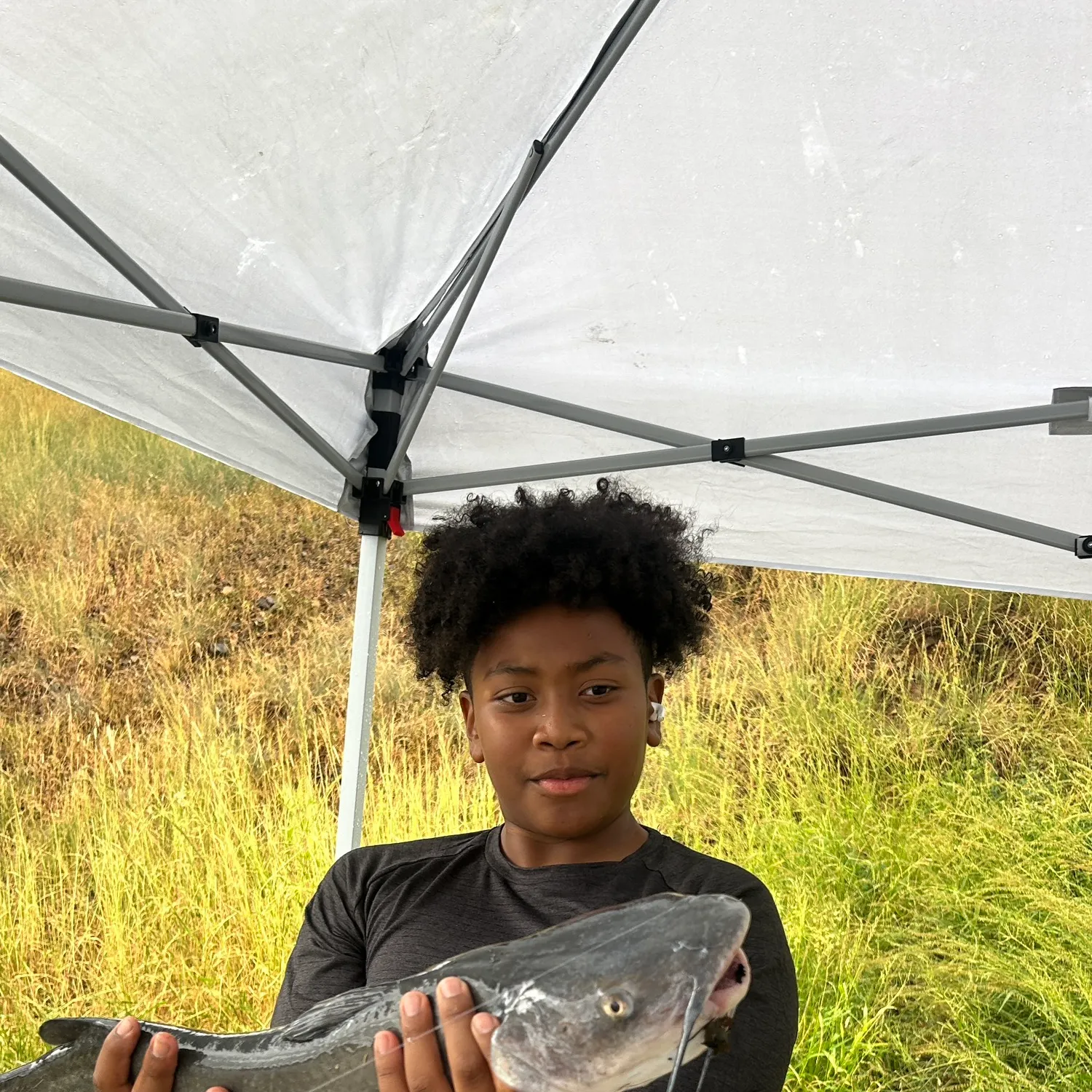 Flathead catfish caught on Fishbrain