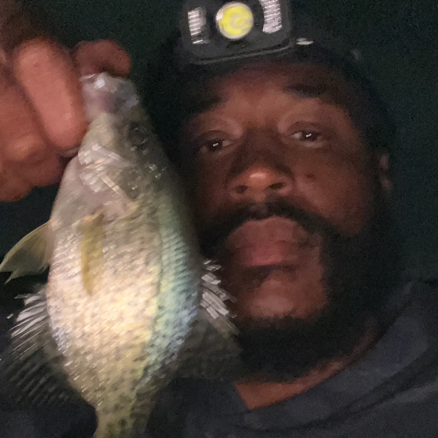 Black crappie caught on Fishbrain