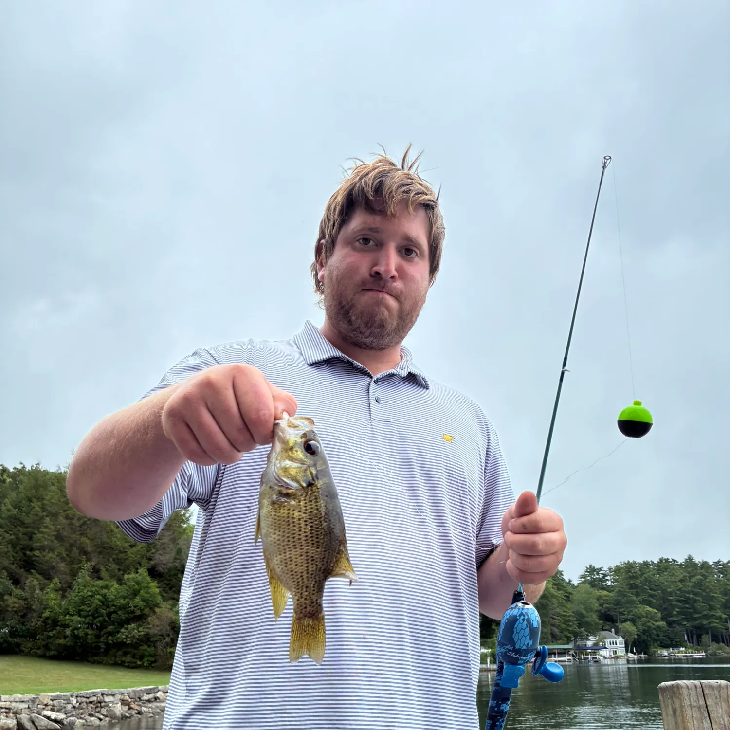 Rock bass caught on Fishbrain