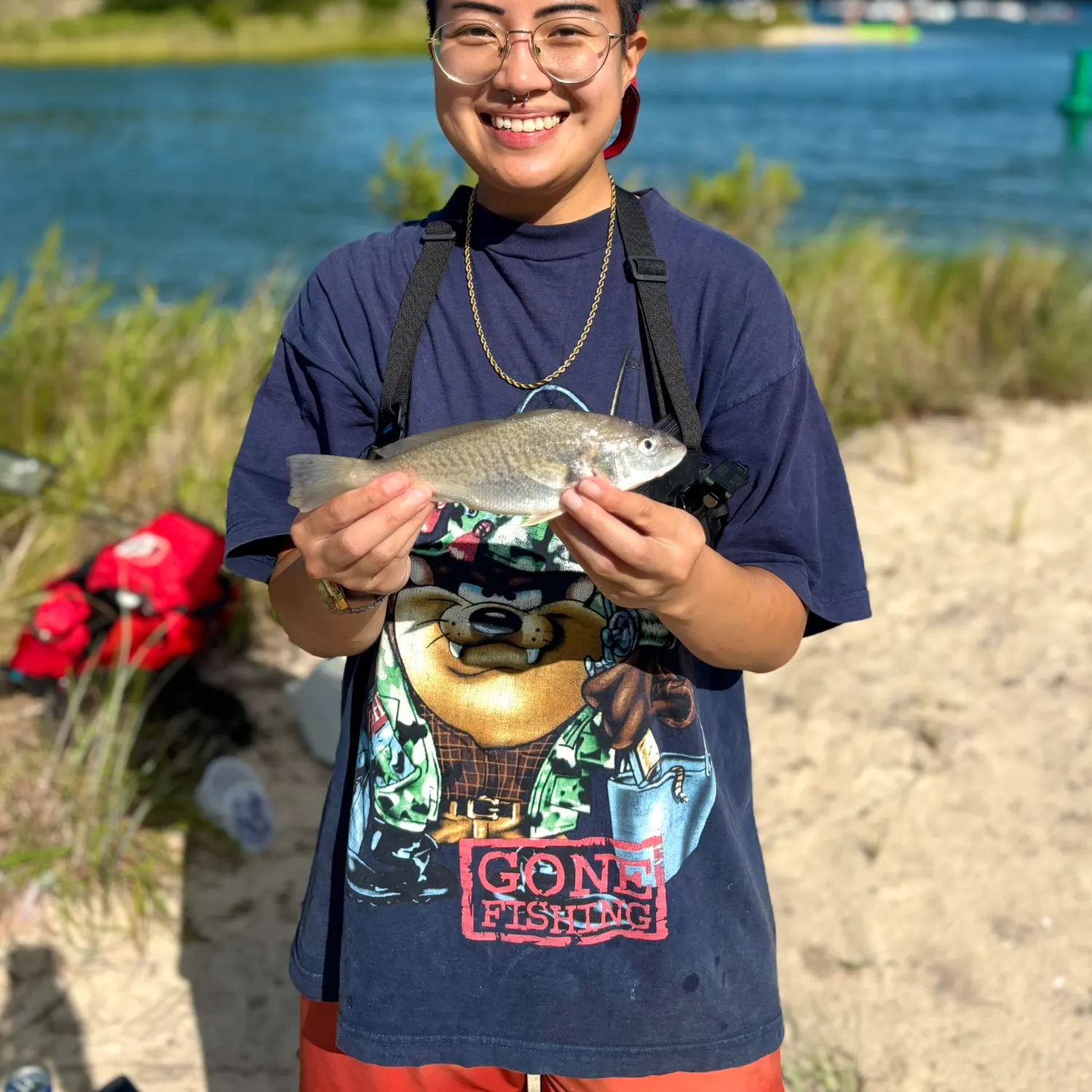 Atlantic croaker caught on Fishbrain