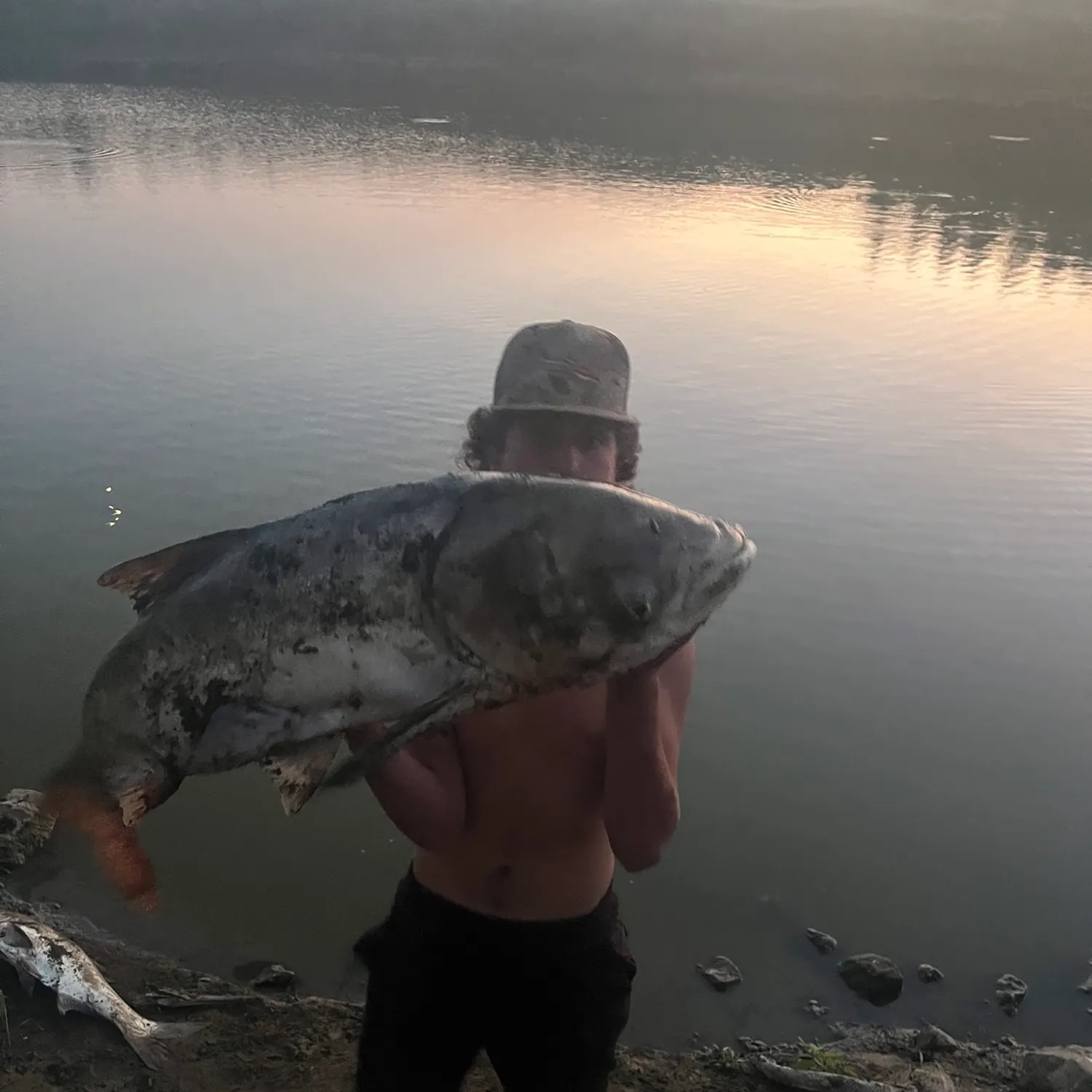 most liked catch image