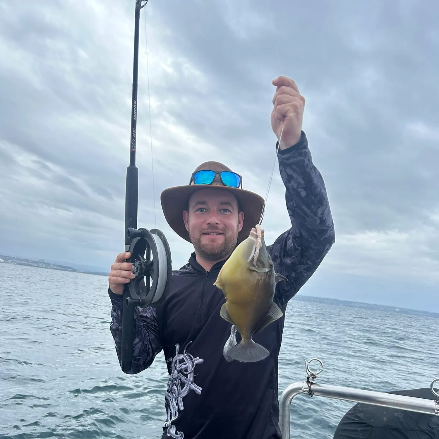The most recent Bridled triggerfish catches on Fishbrain