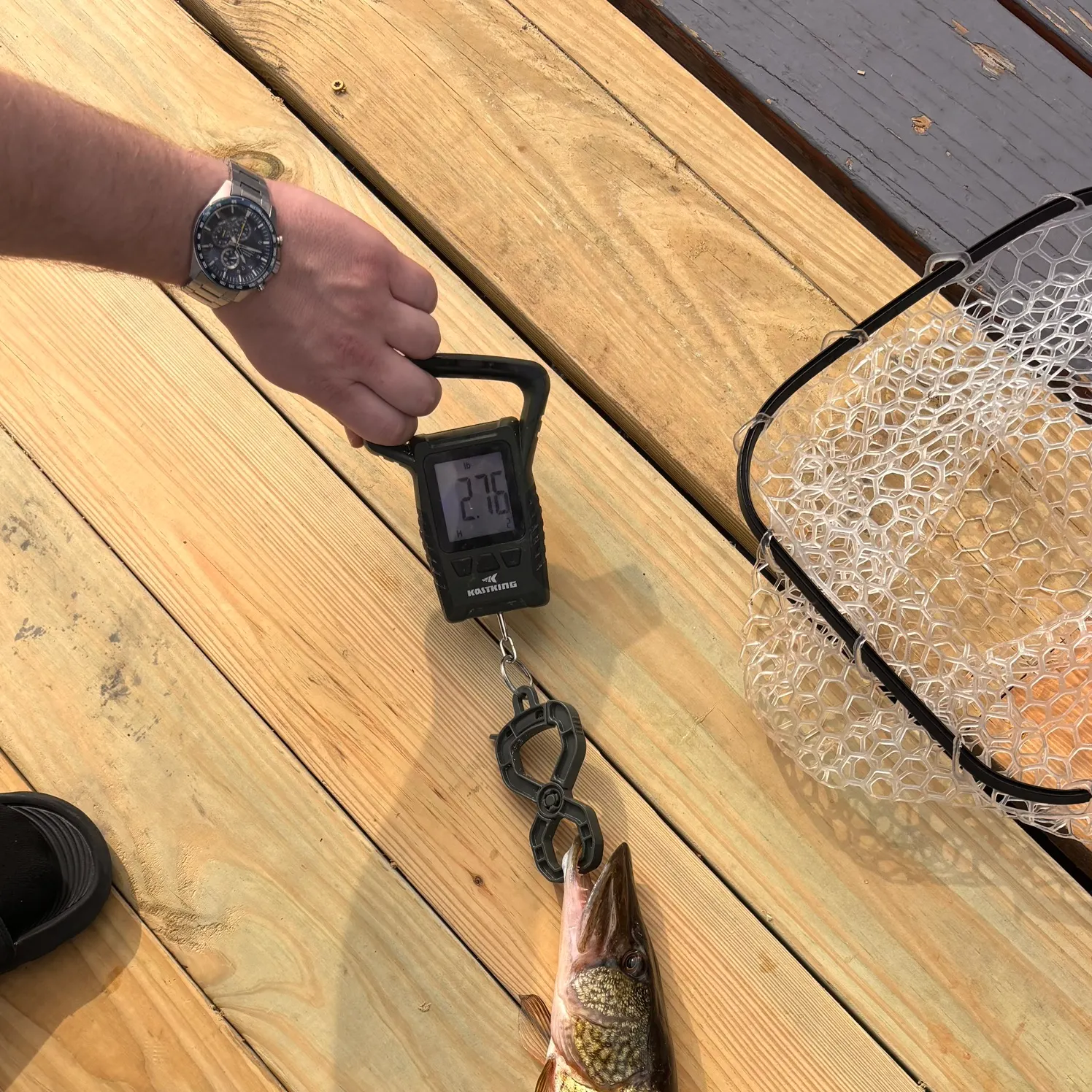 catch