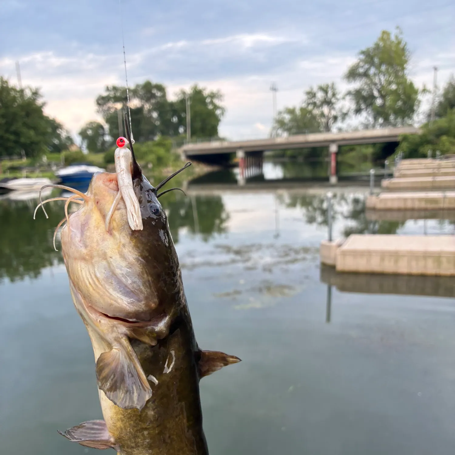 catch