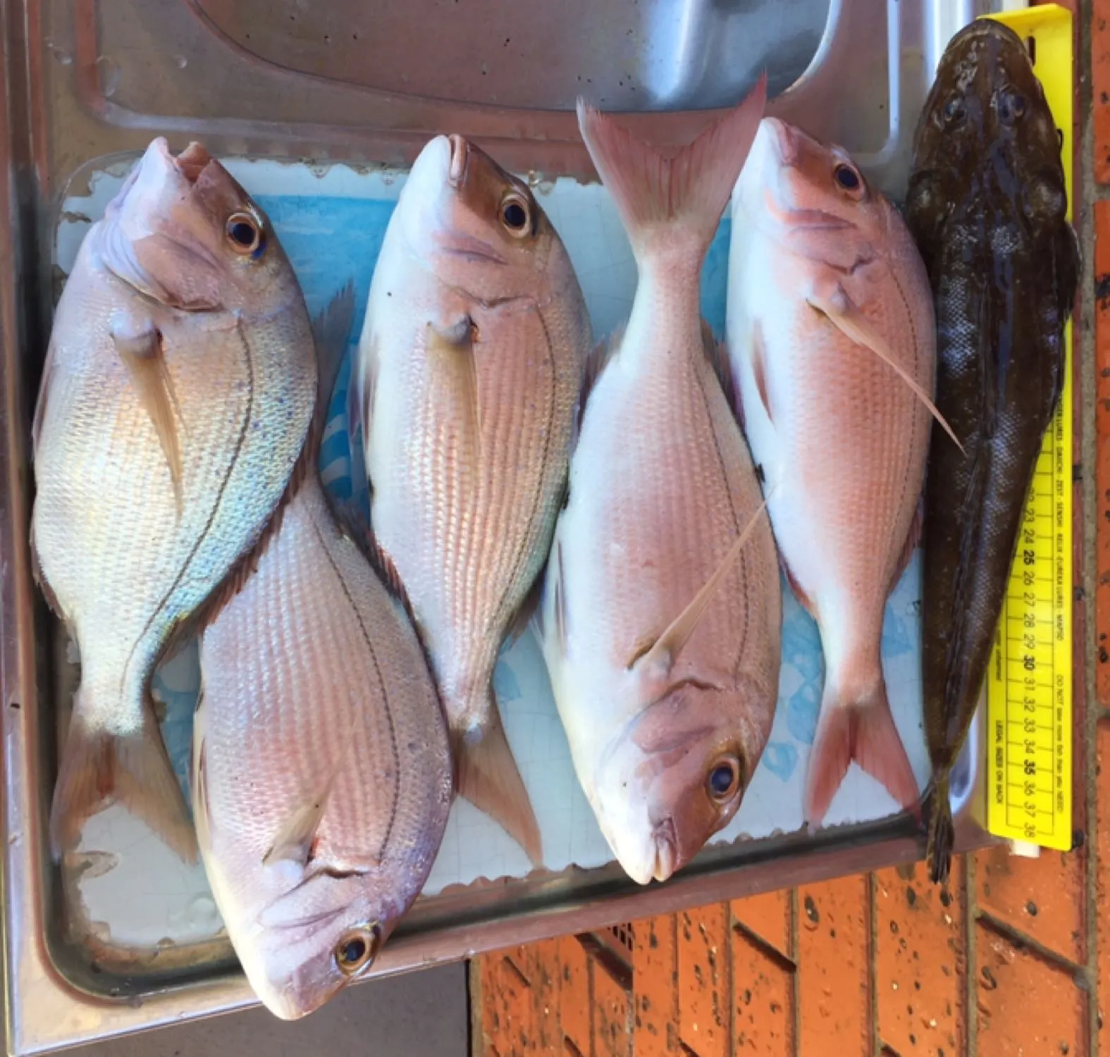 Post image from tkirkovski