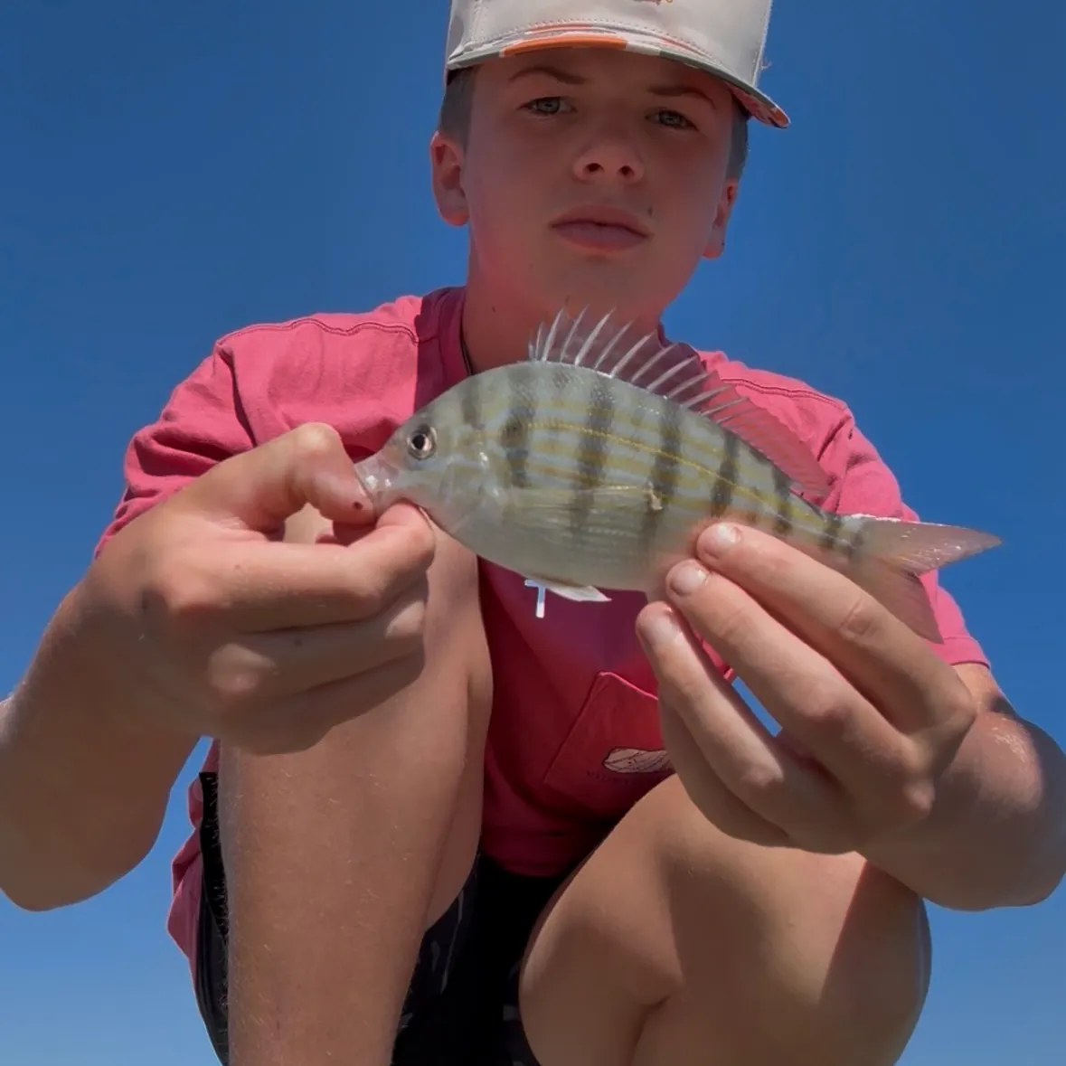Pinfish caught on Fishbrain