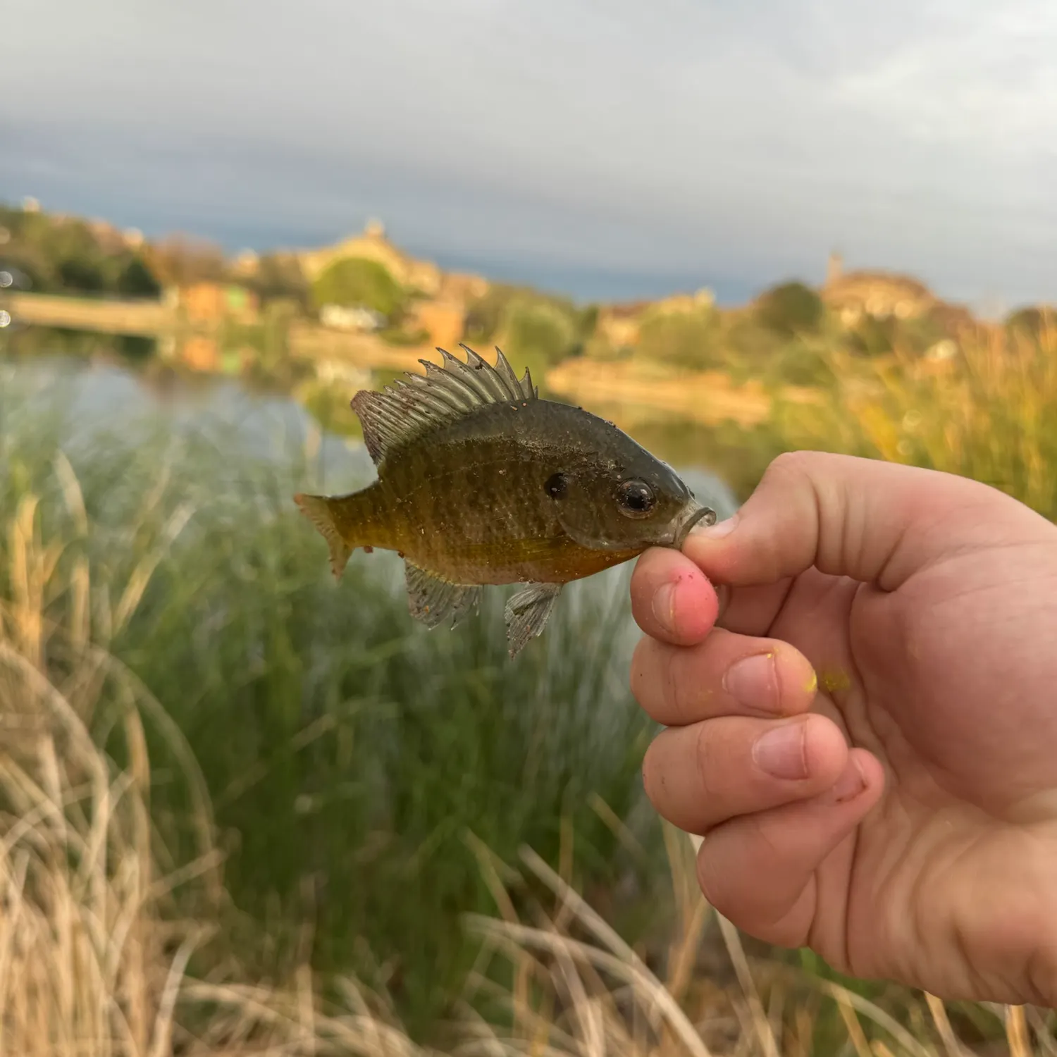 catch