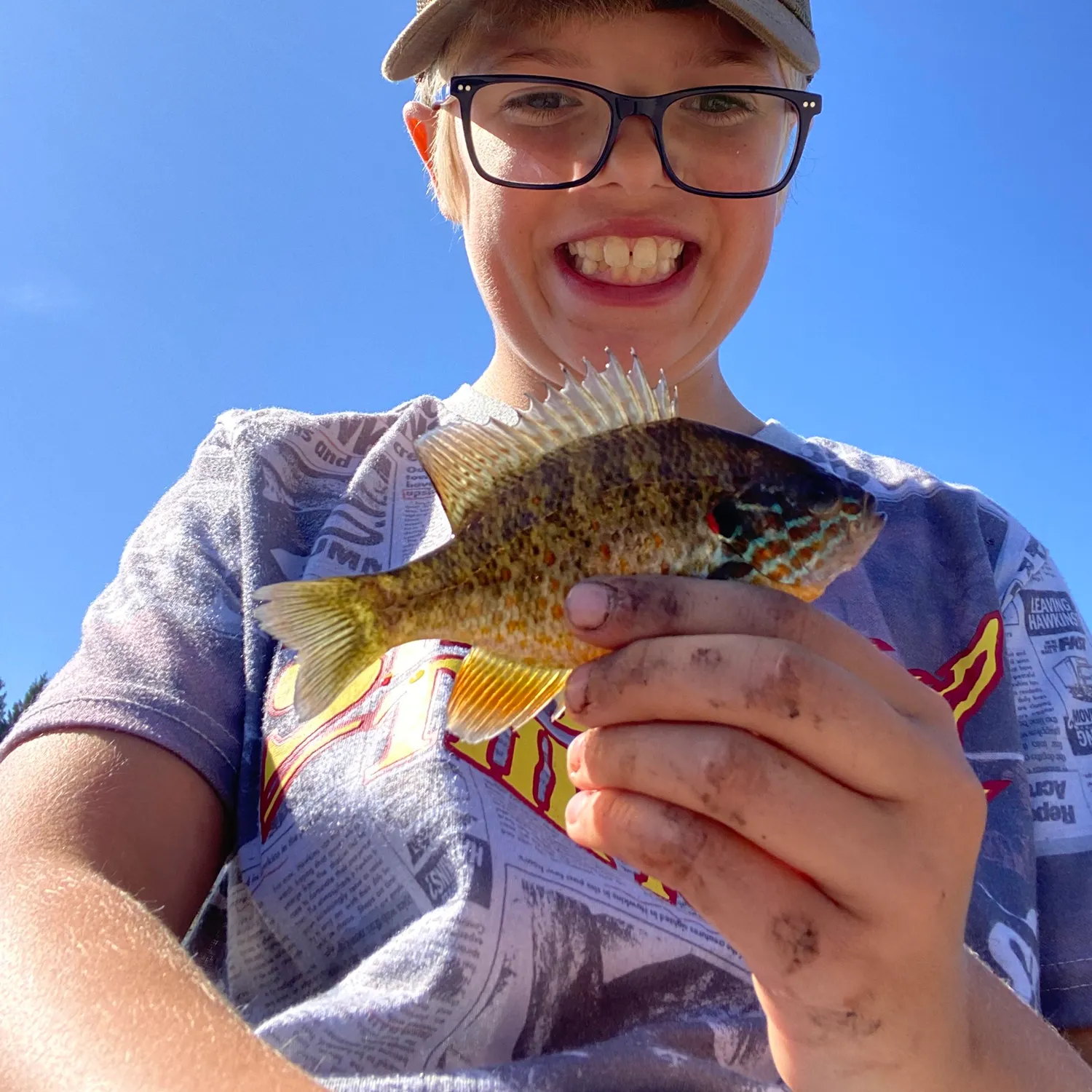 Pumpkinseed caught on Fishbrain