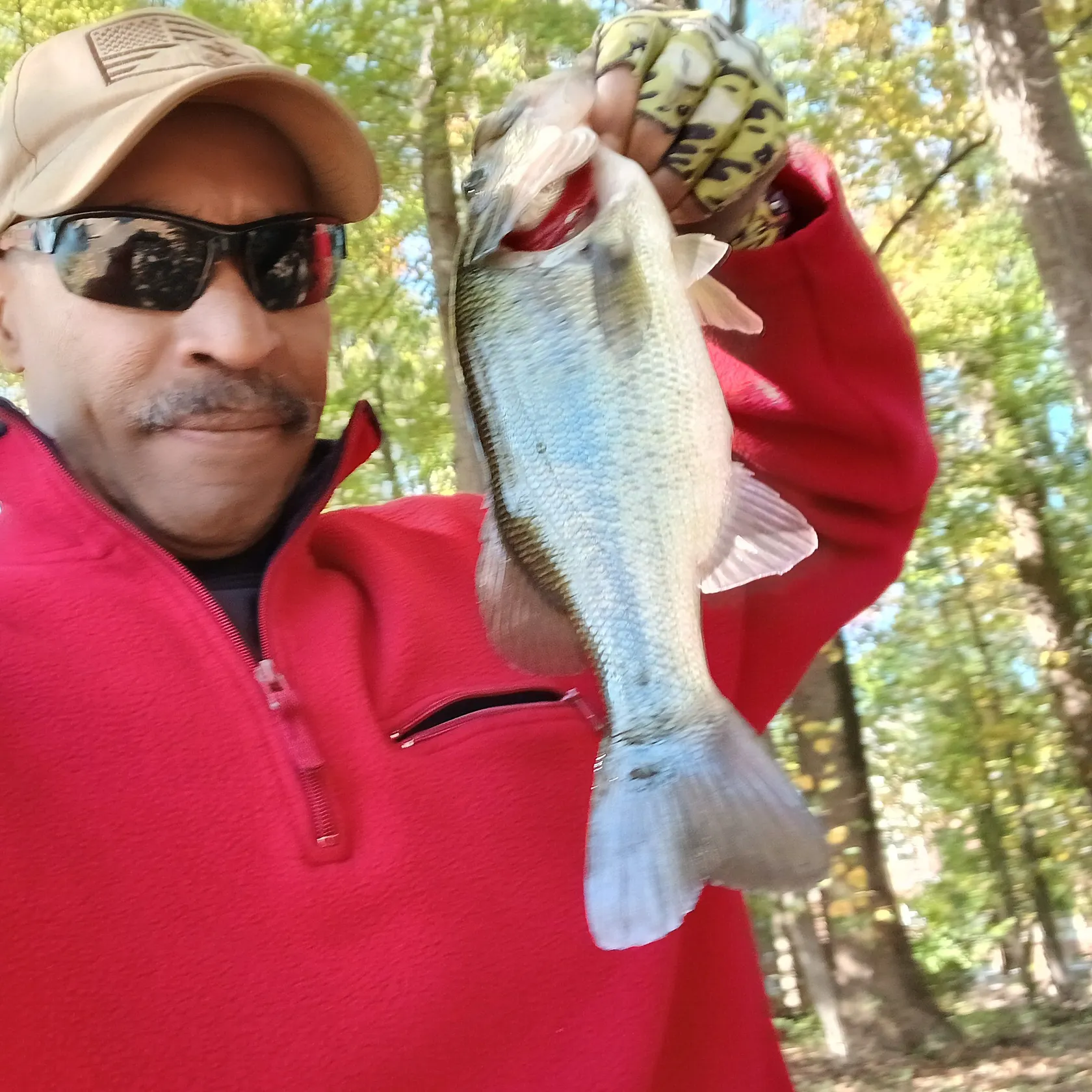 Largemouth bass caught on Fishbrain