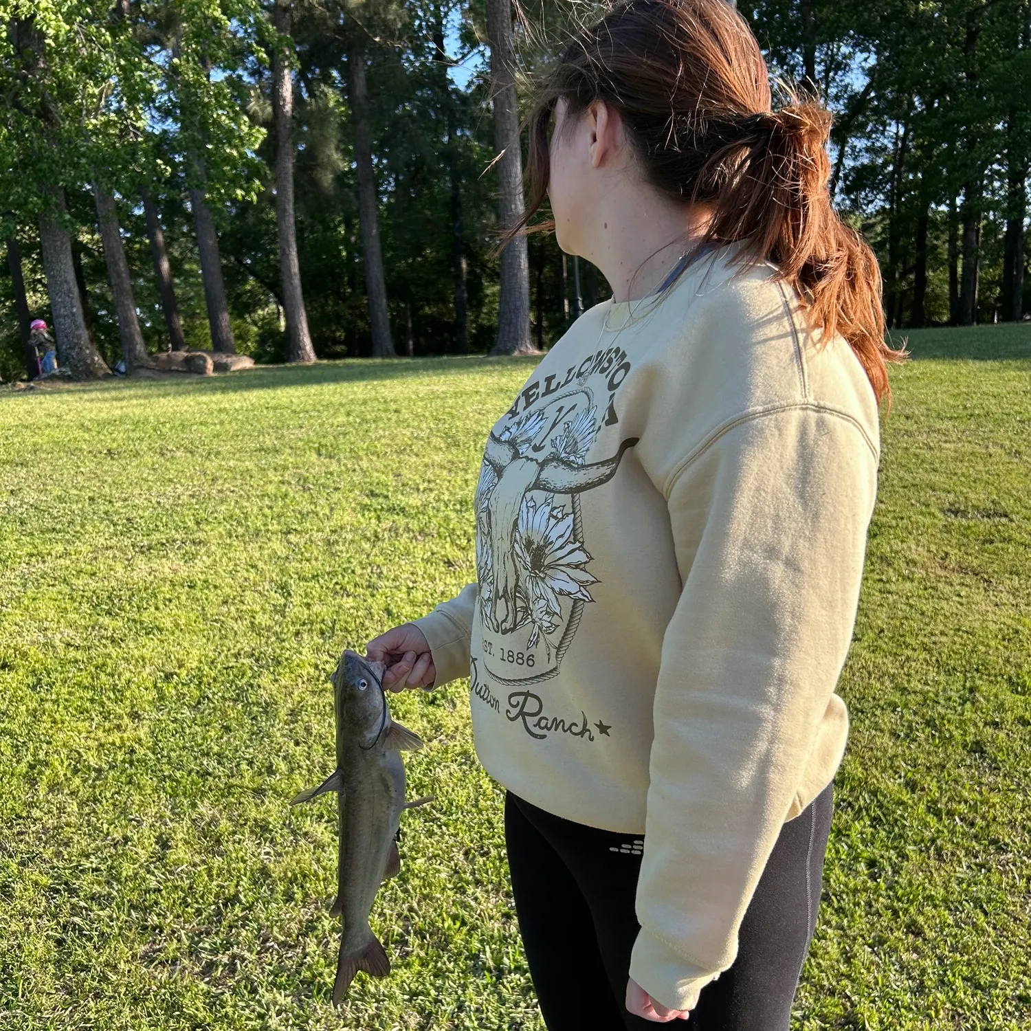 Channel catfish caught on Fishbrain