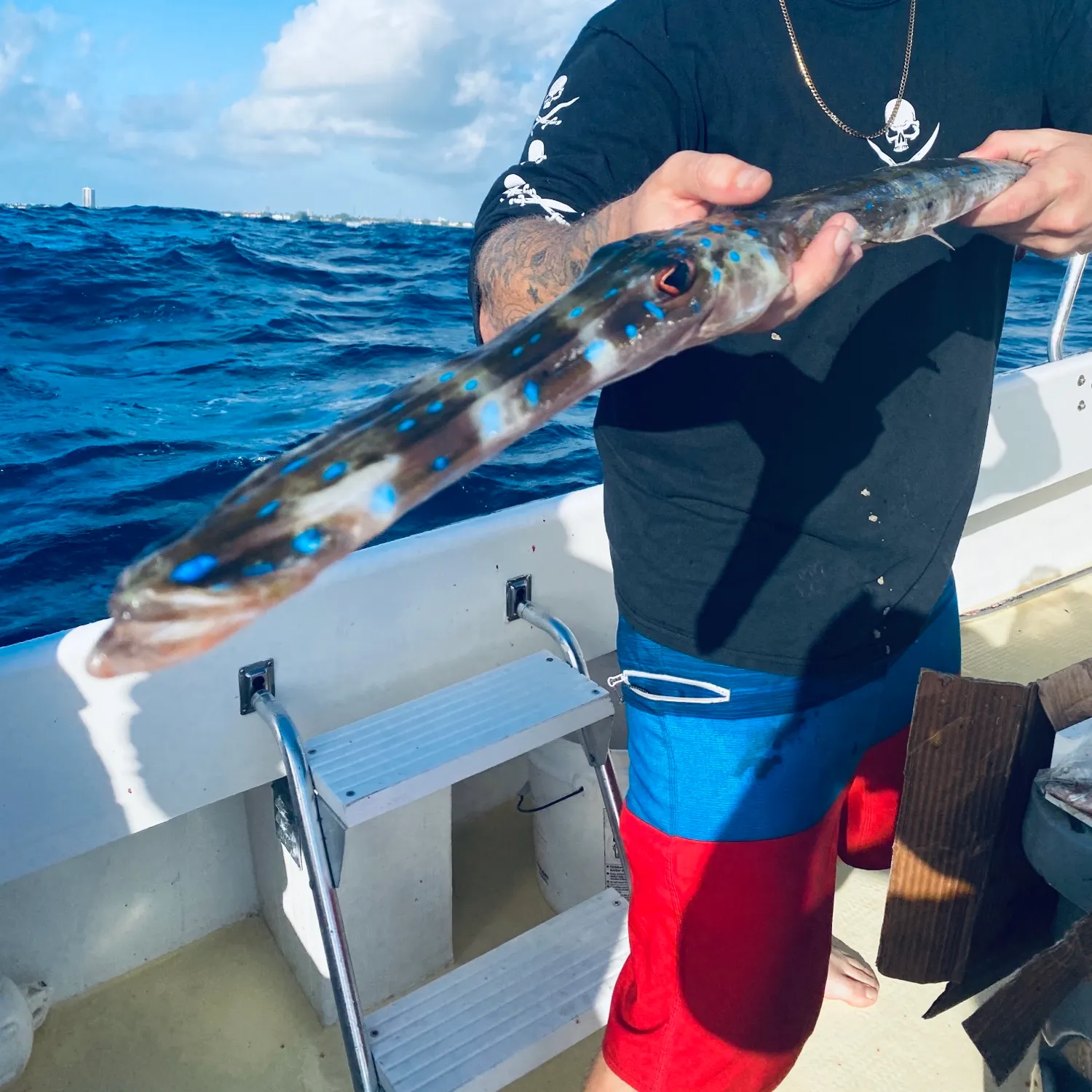 The most popular recent Bluespotted cornetfish catch on Fishbrain