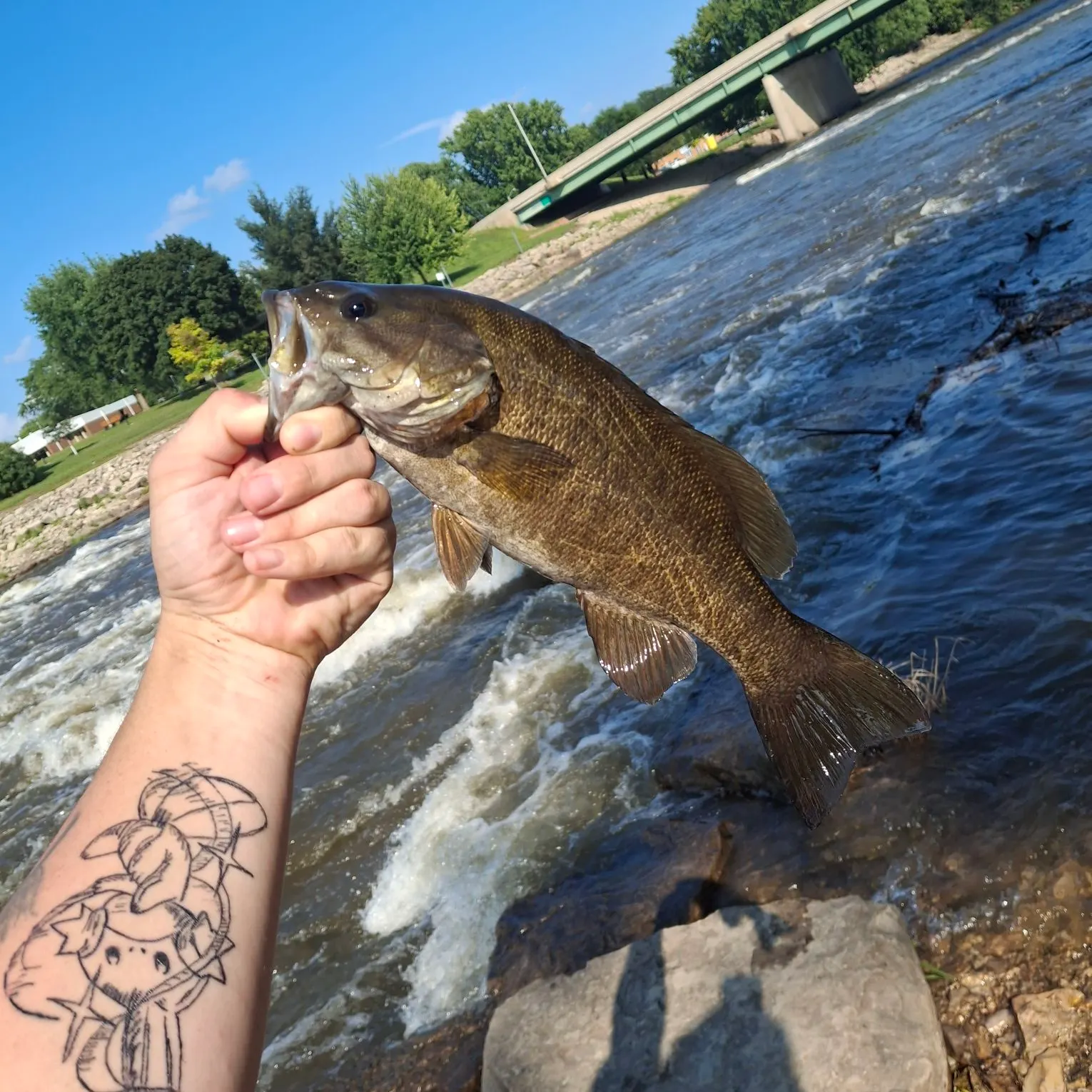 catch