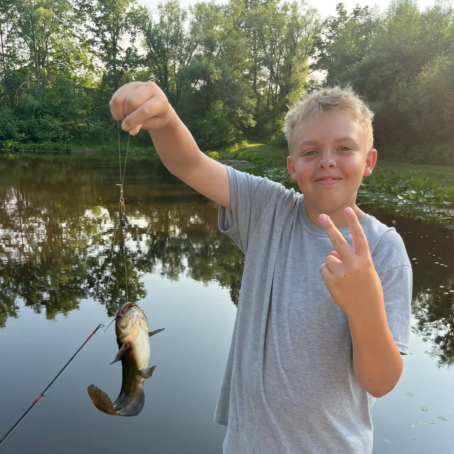 Black bullhead caught on Fishbrain
