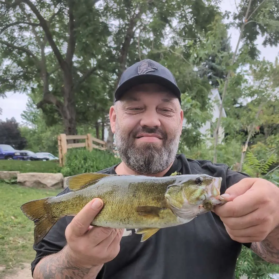 Smallmouth bass caught on Fishbrain