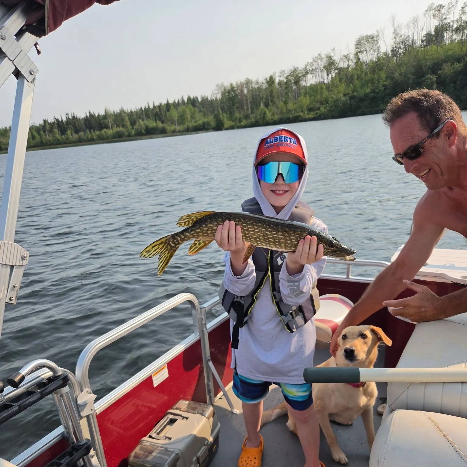 Northern pike caught on Fishbrain