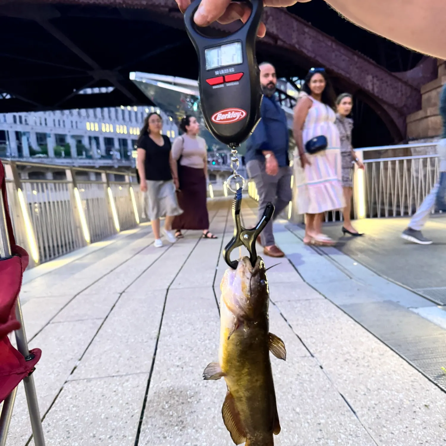 catch