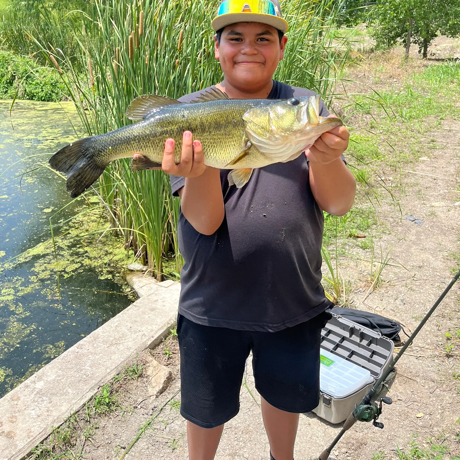 Largemouth bass caught on Fishbrain