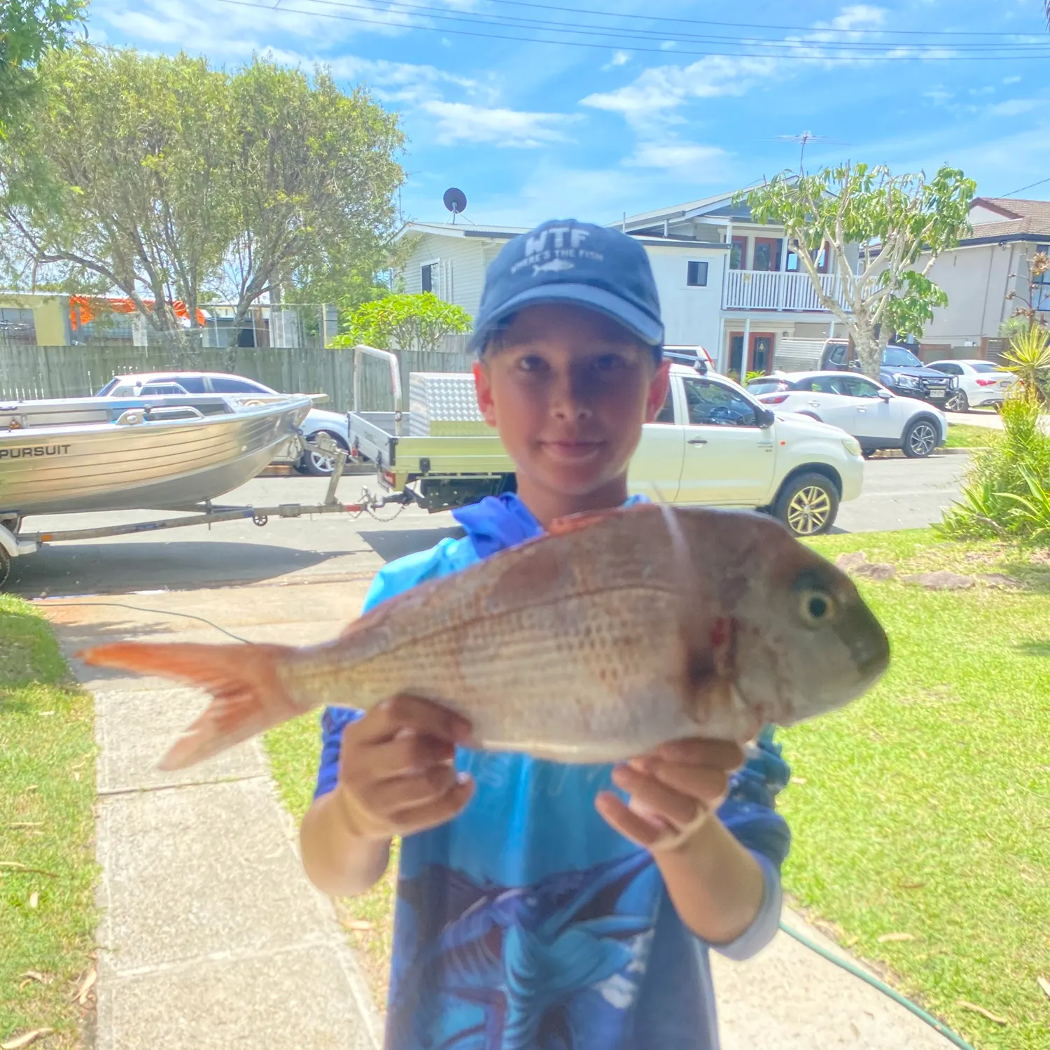 The most recent Australasian snapper catches on Fishbrain