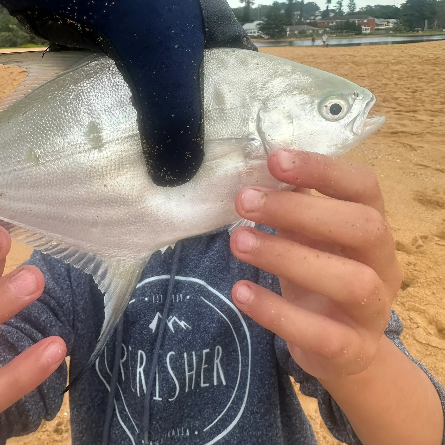 The most recent Swallowtail dart catches on Fishbrain