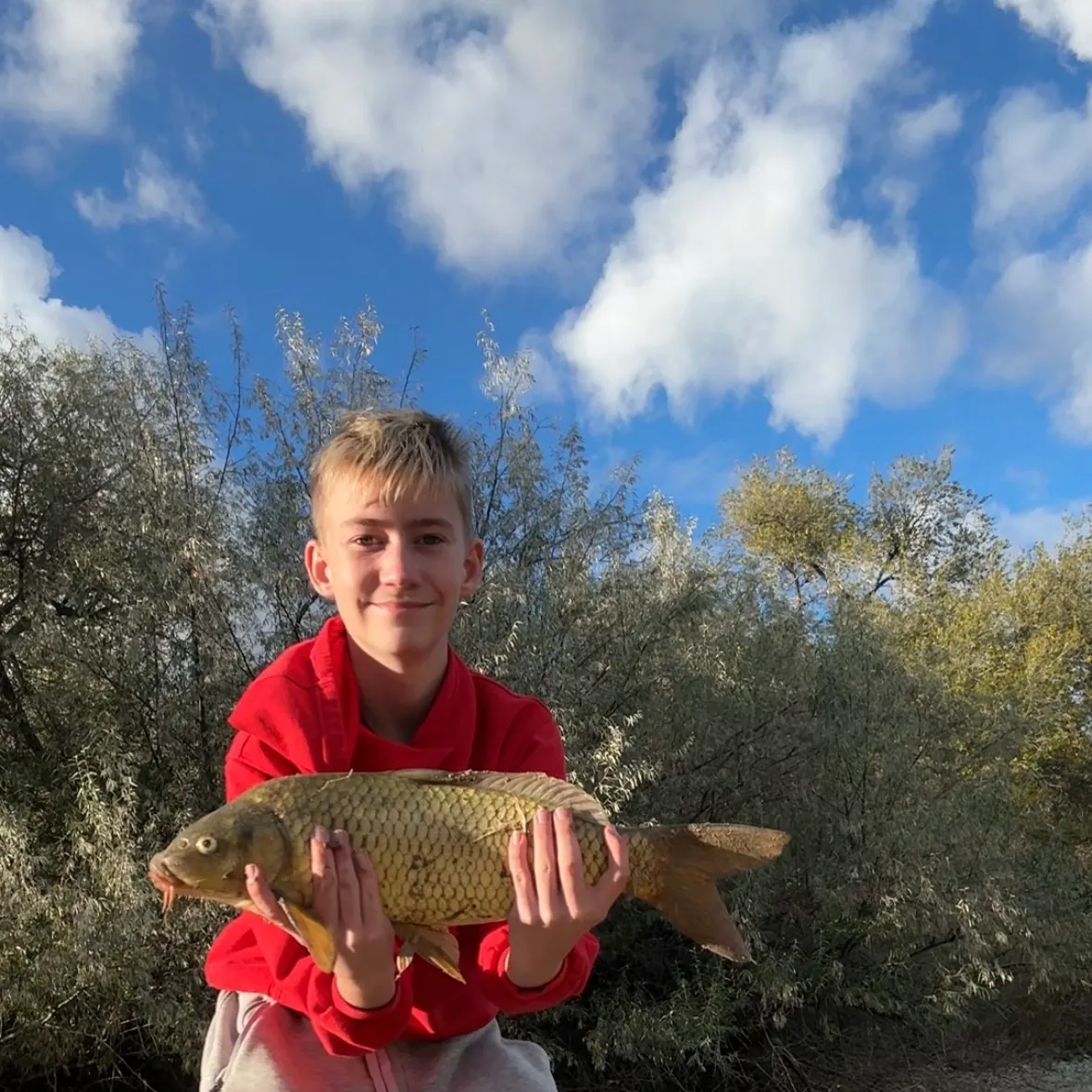 Common carp caught on Fishbrain
