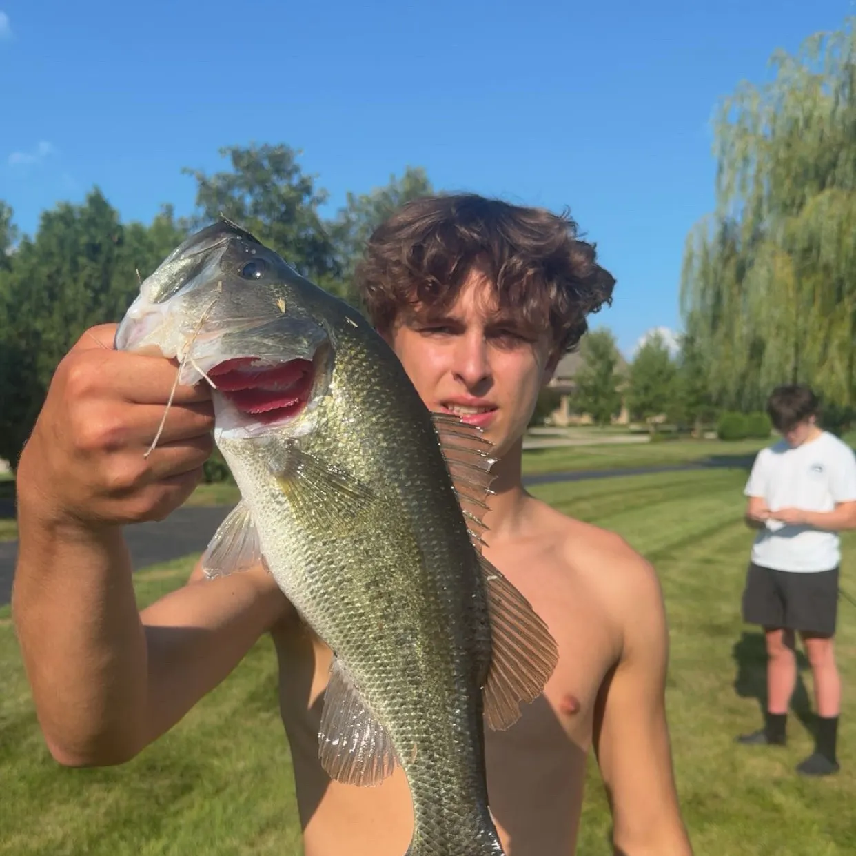 Largemouth bass caught on Fishbrain