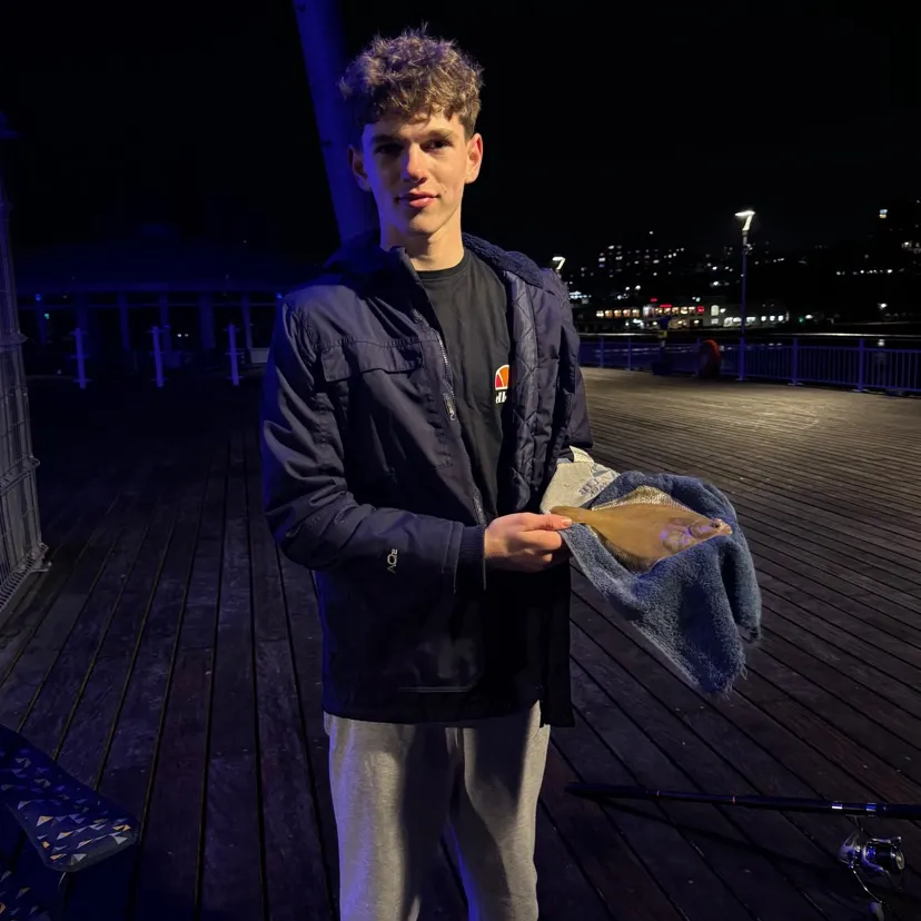 The most recent European flounder catches on Fishbrain