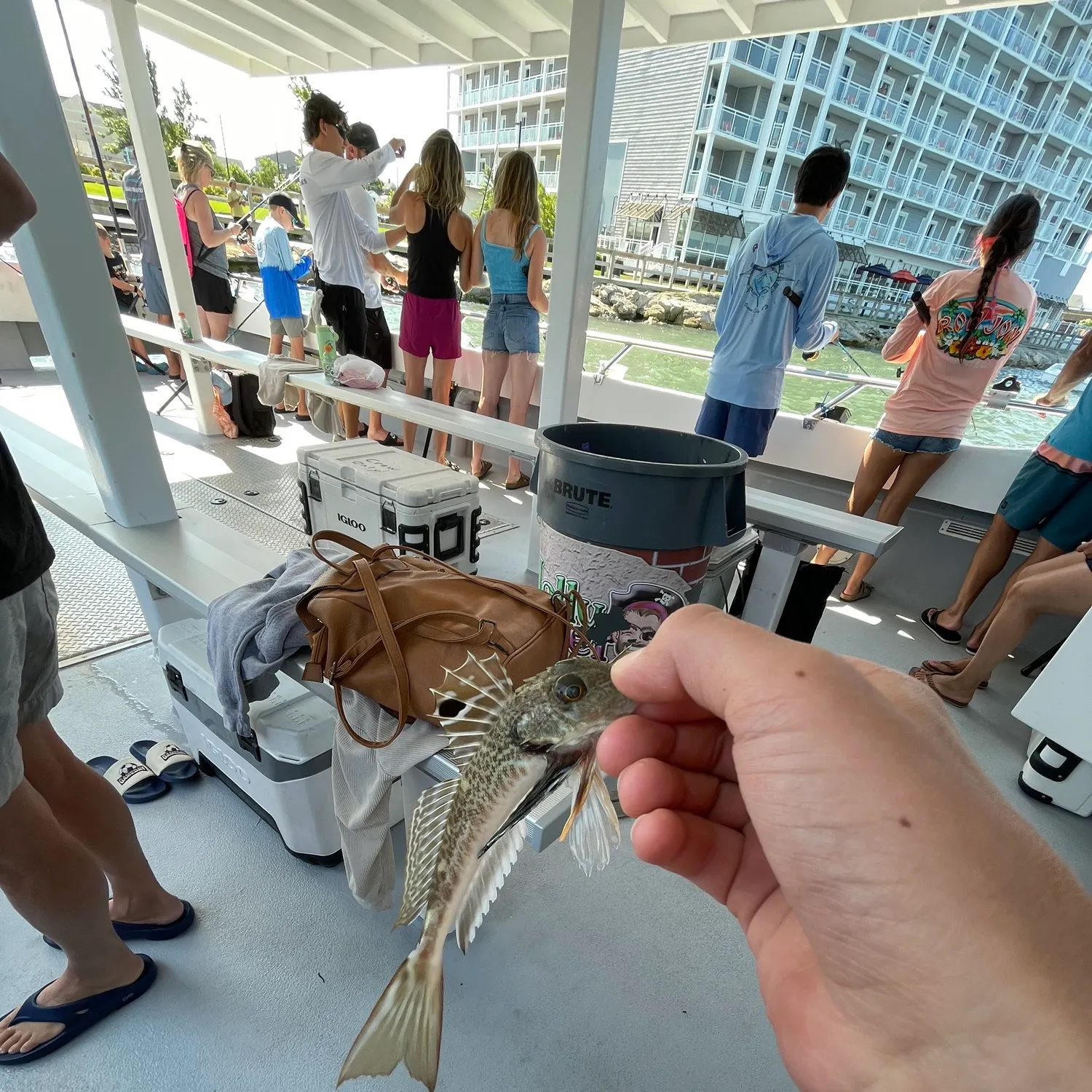 catch