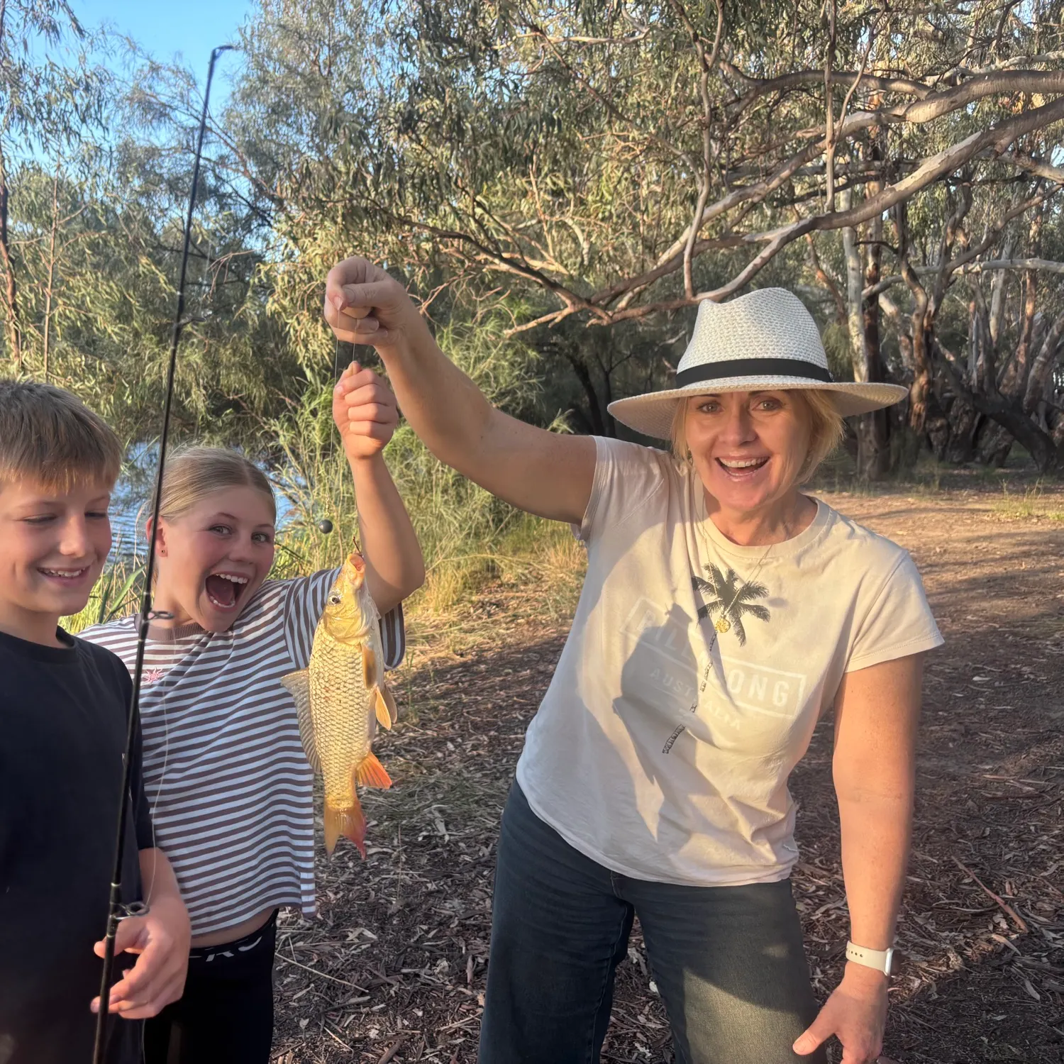 Common carp caught on Fishbrain
