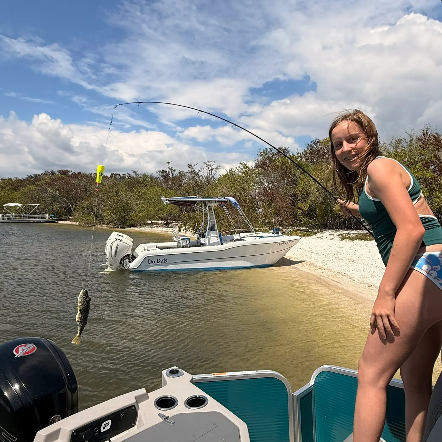 The most recent Spotted green pufferfish catches on Fishbrain