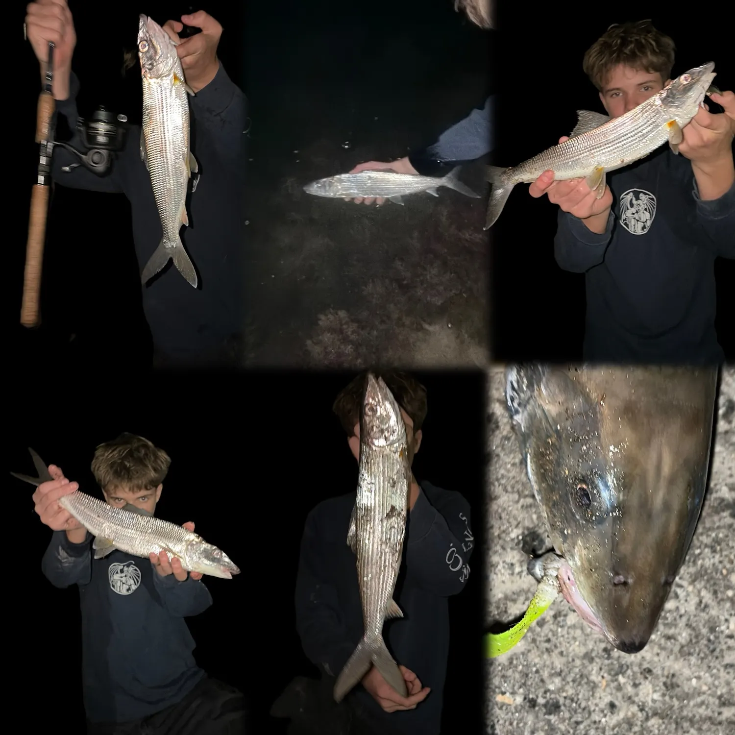 Cortez bonefish caught on Fishbrain